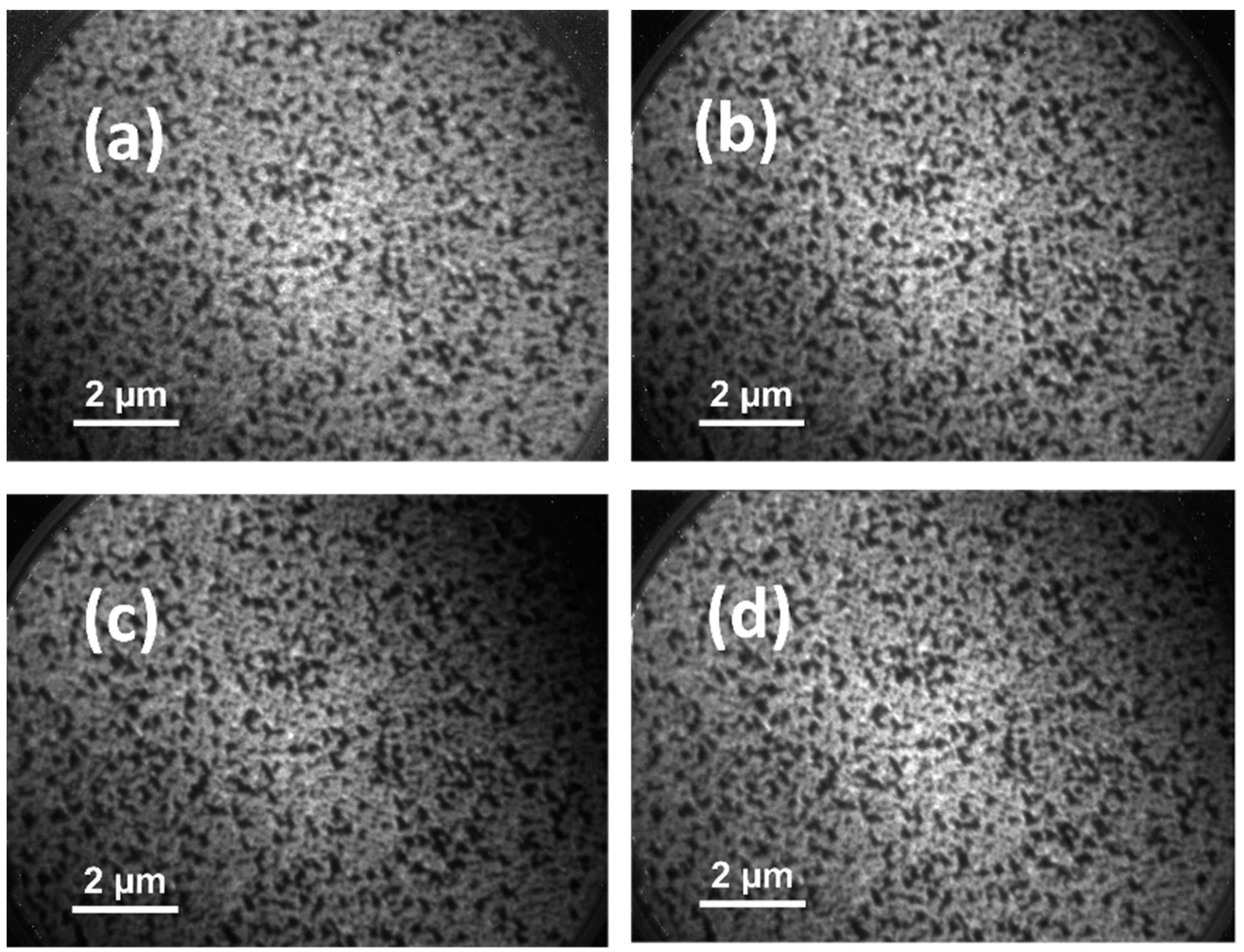 Sensors 23 00029 g004