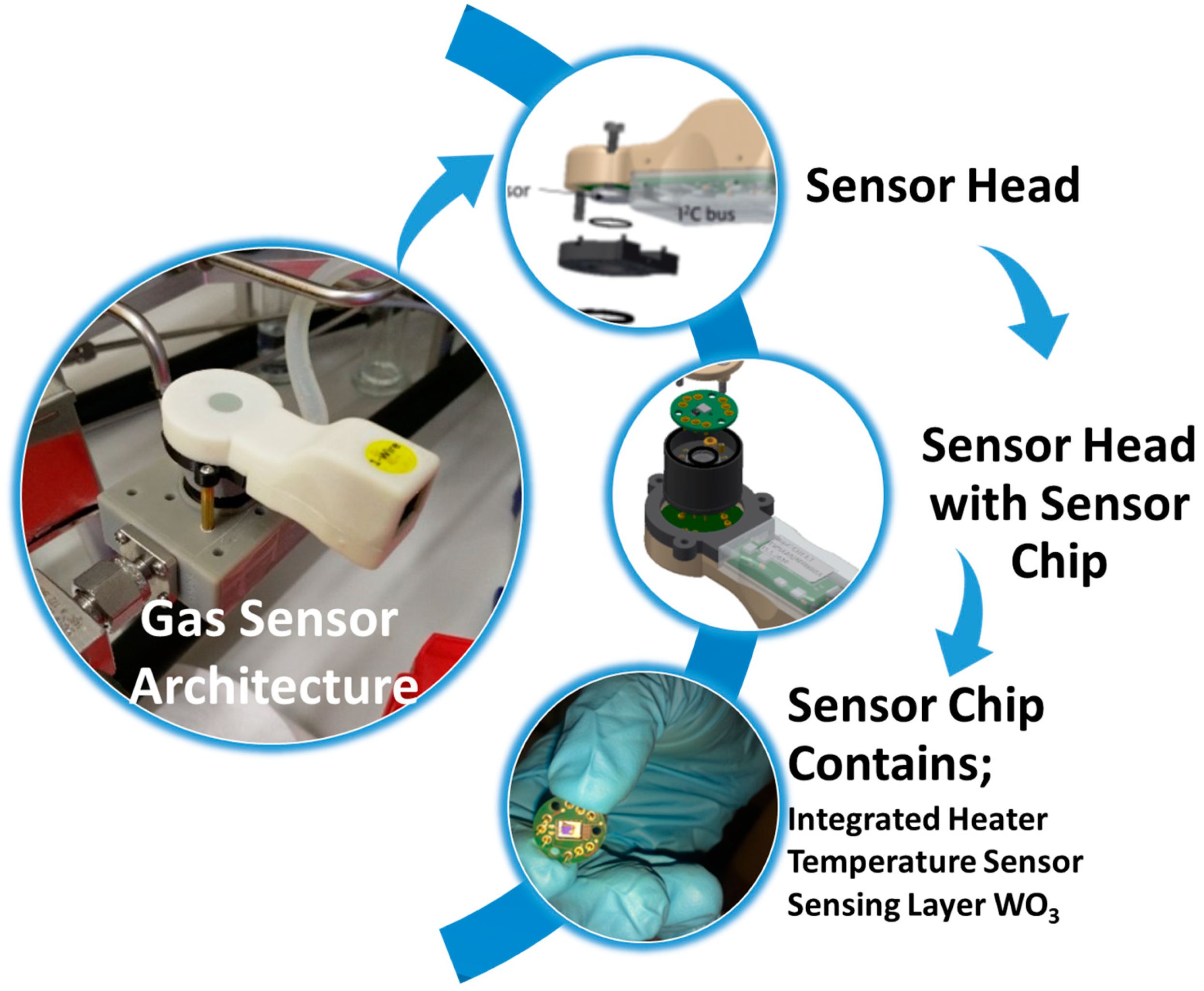 Sensors 23 00029 g011