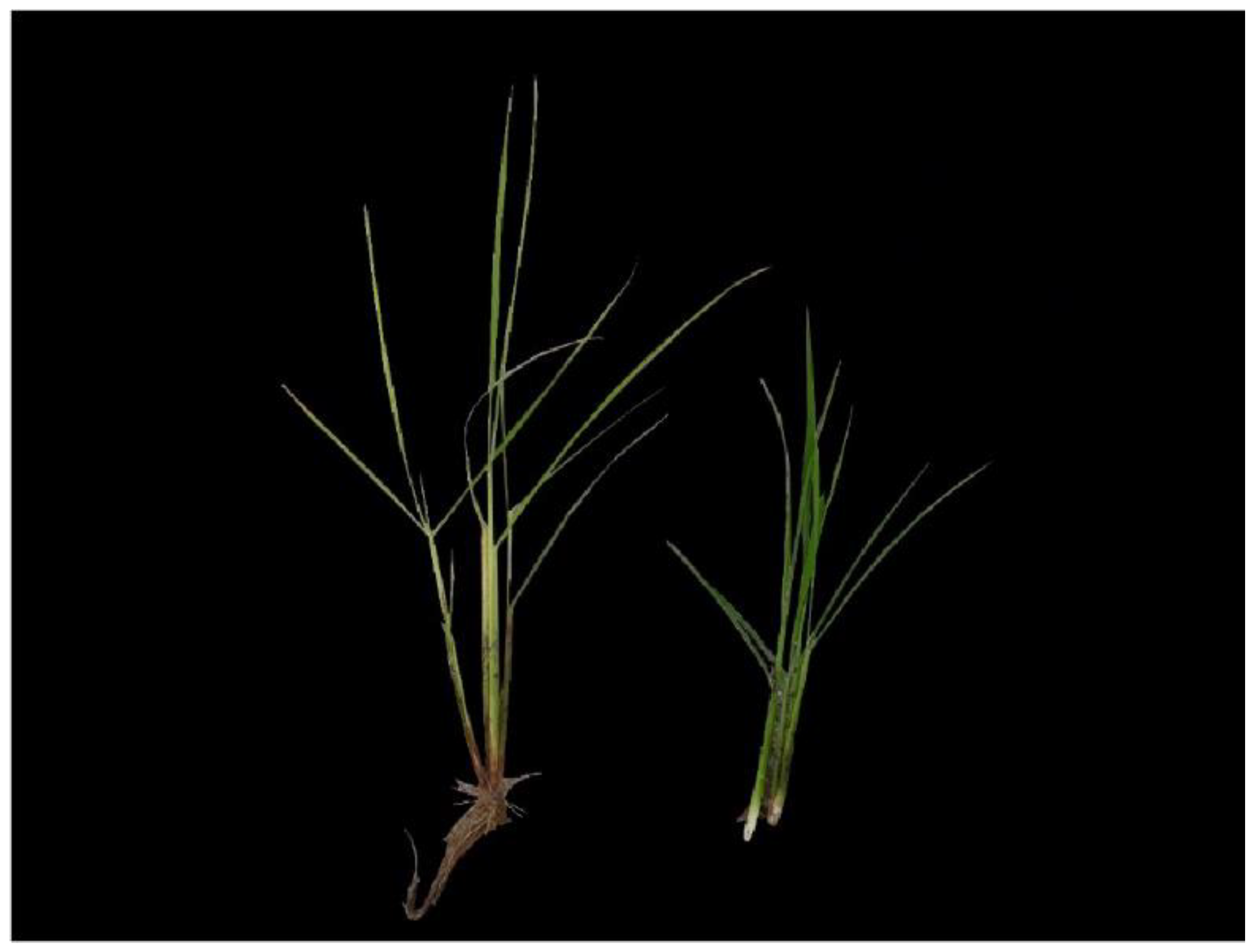 Sensors 23 00032 g001