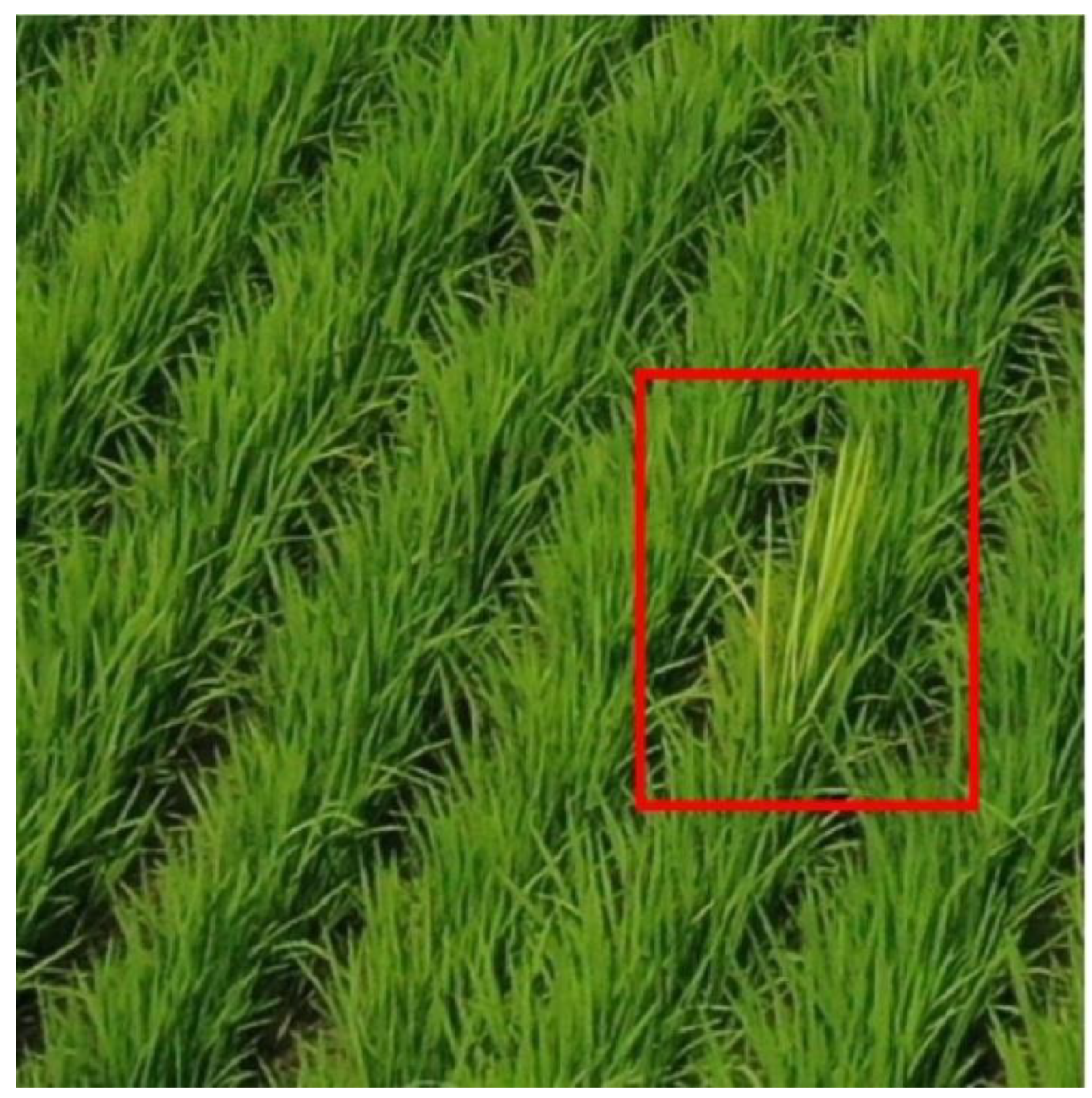 Sensors 23 00032 g002