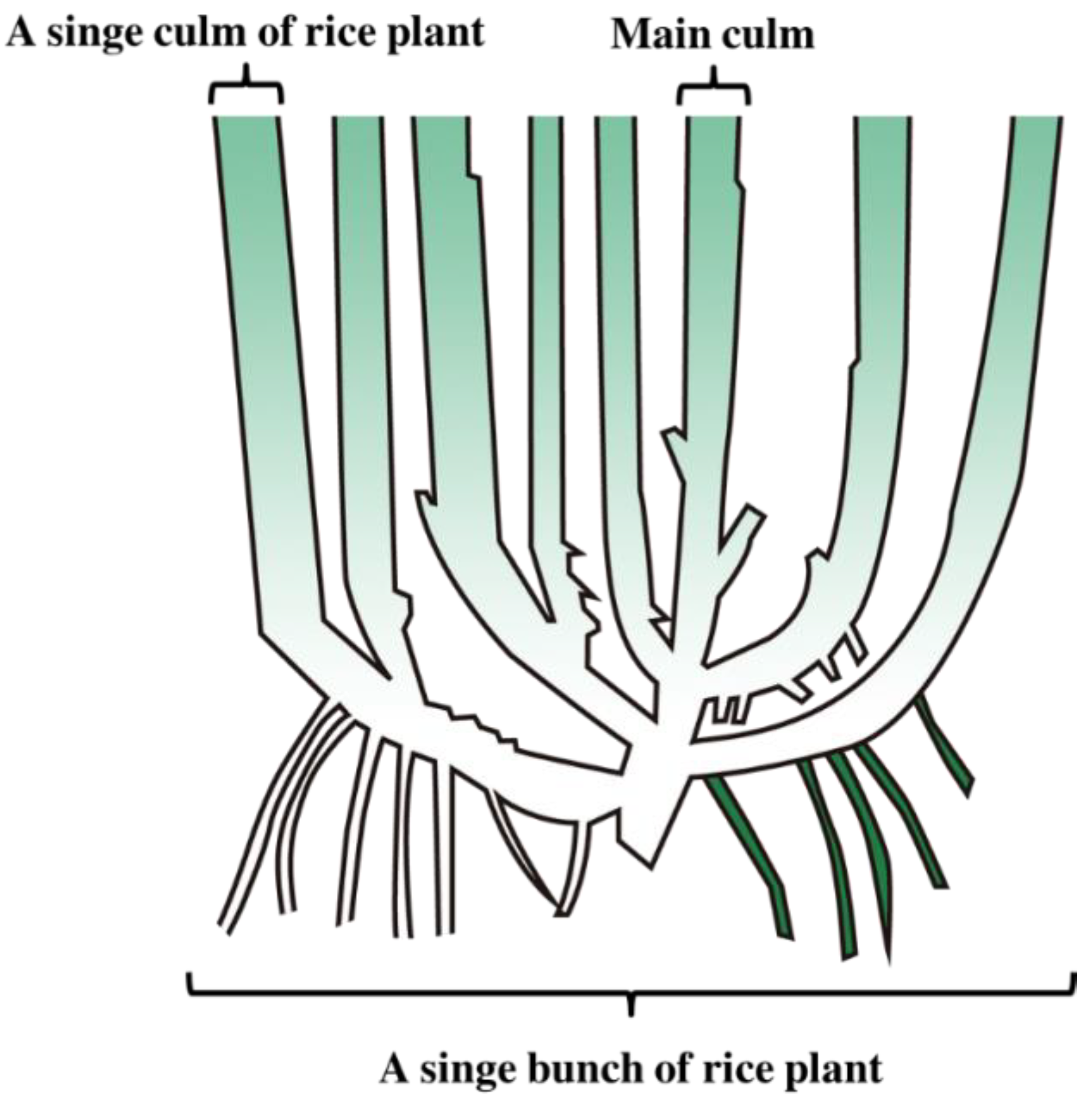 Sensors 23 00032 g004