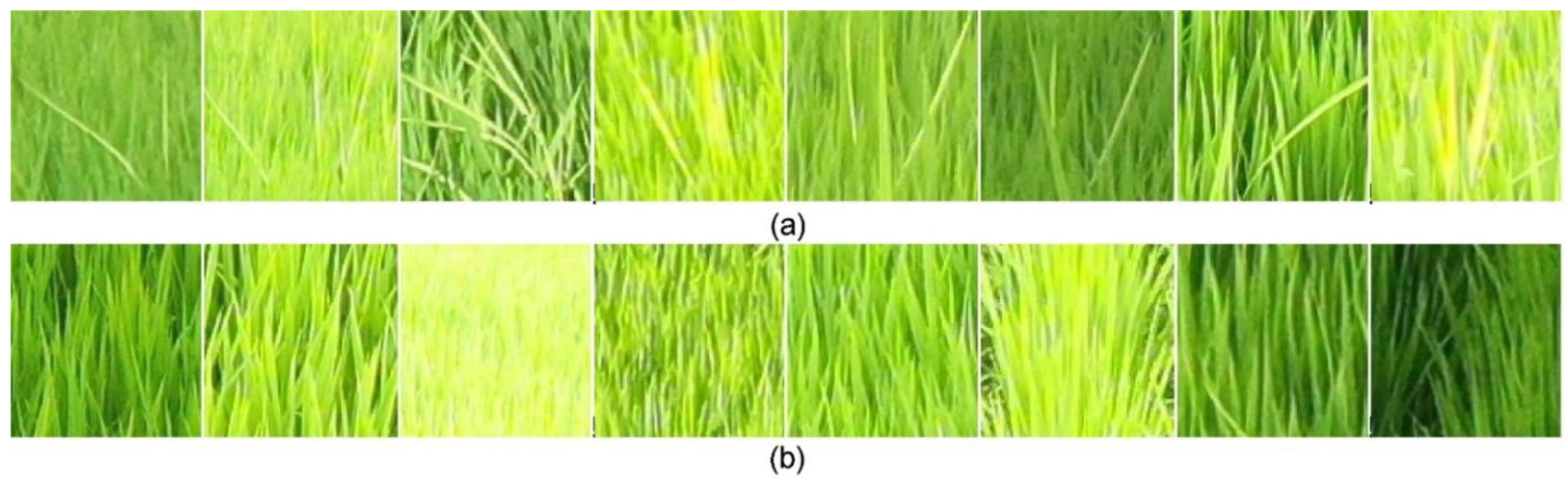 Sensors 23 00032 g007