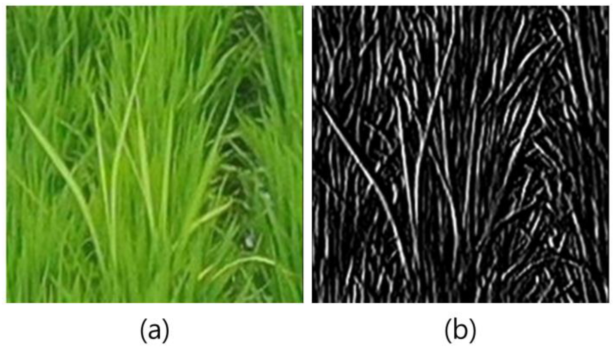 Sensors 23 00032 g008