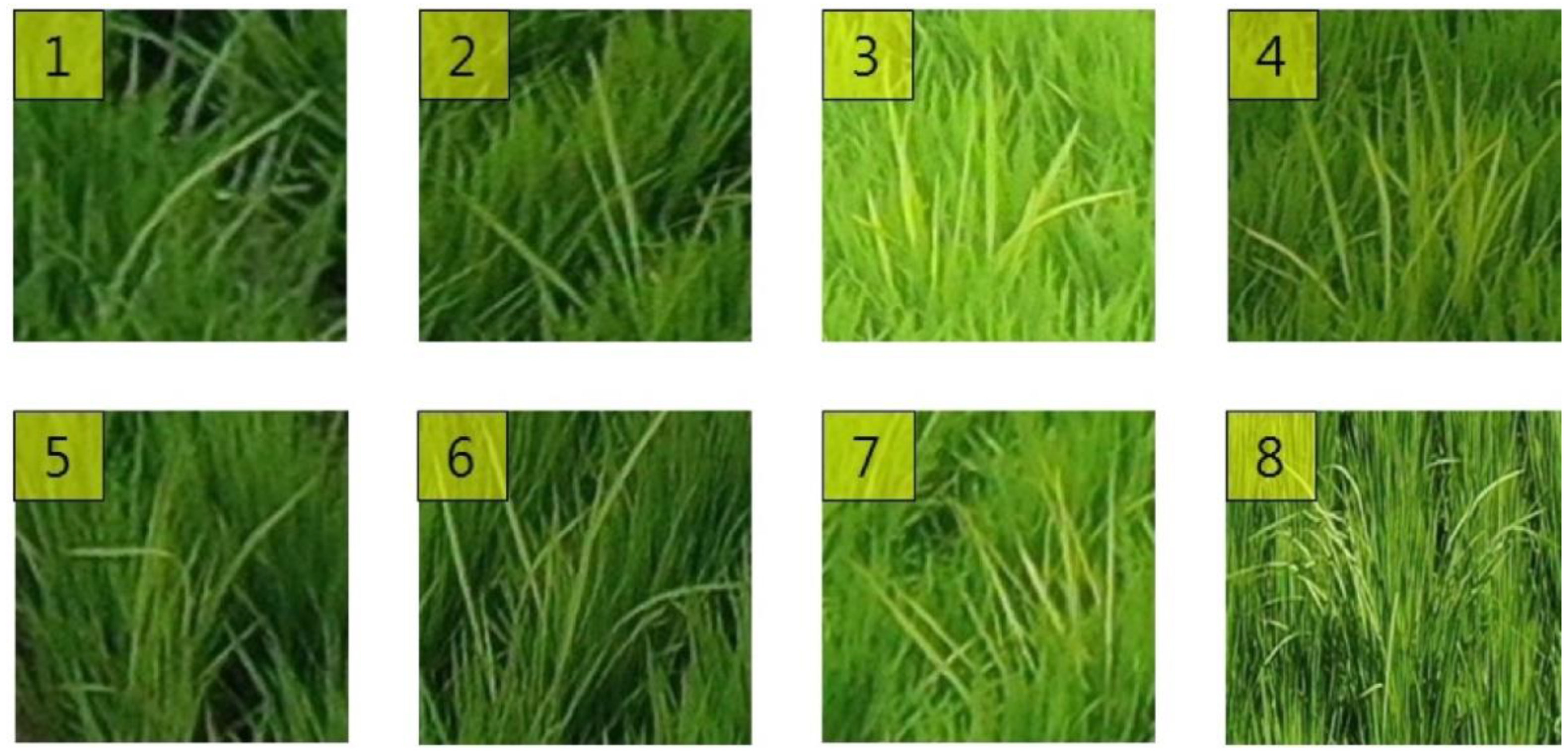 Sensors 23 00032 g014