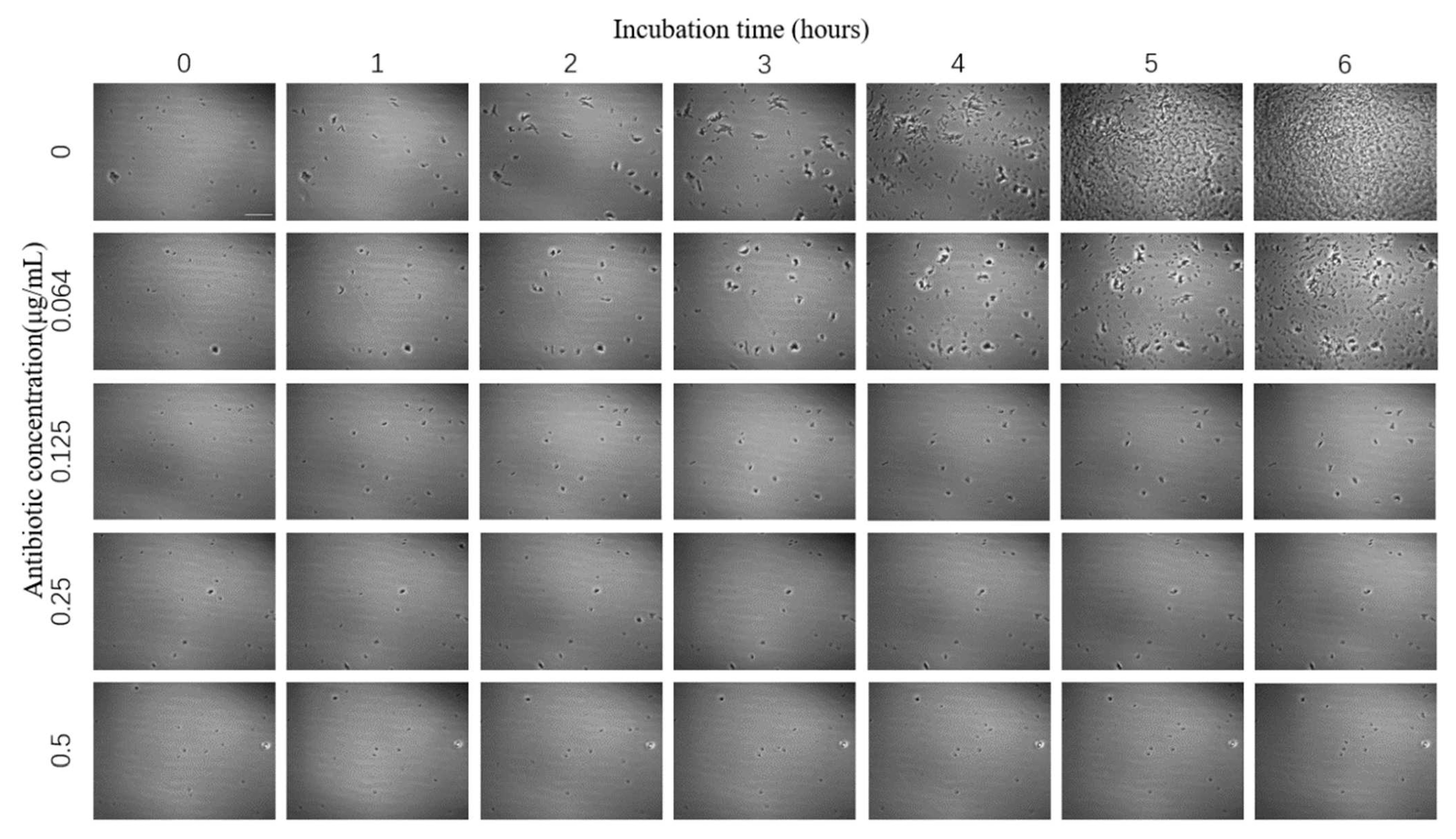 Sensors 23 00059 g004 Sensors 23 00059 g004
