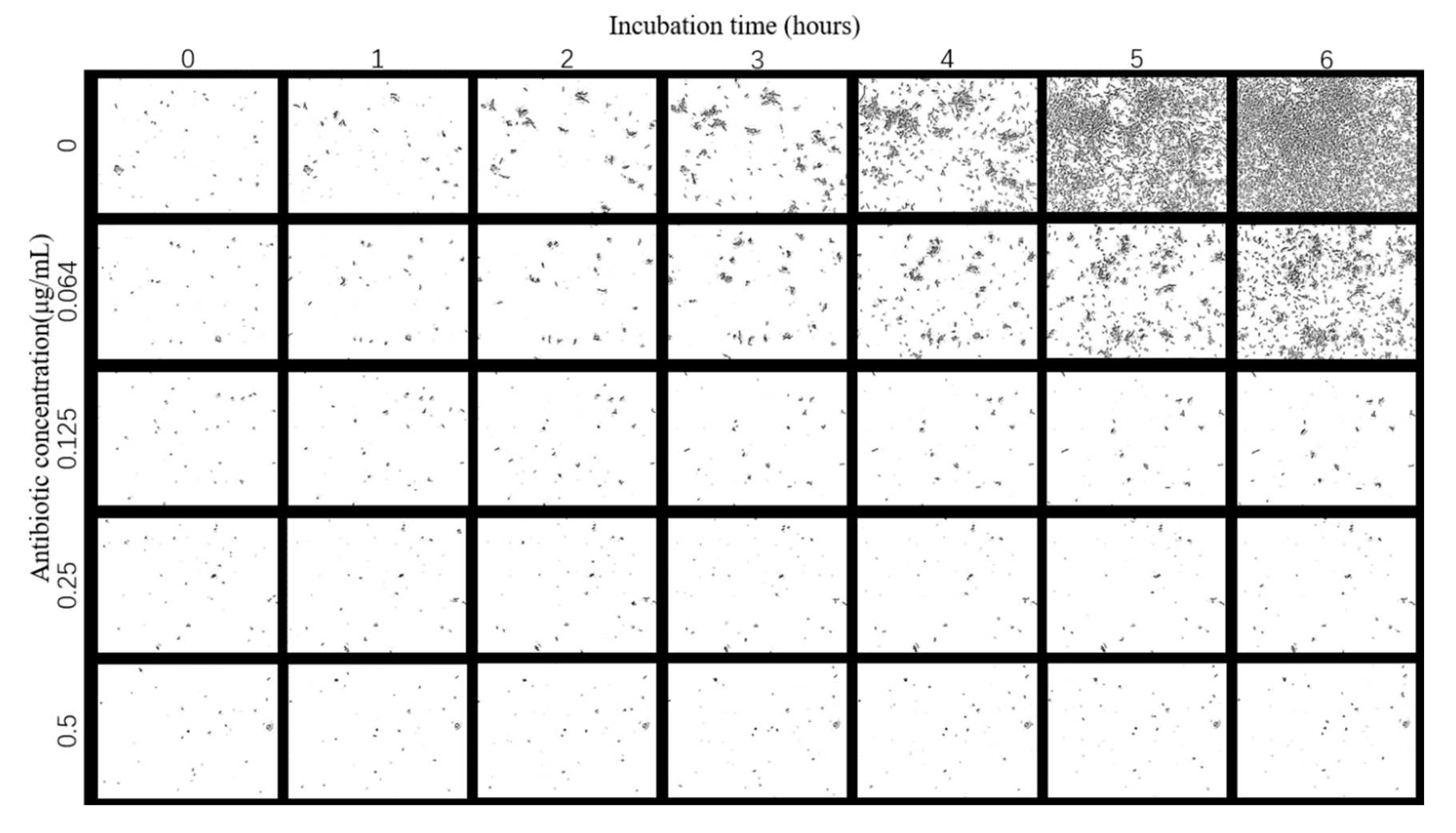 Sensors 23 00059 g005 Sensors 23 00059 g005