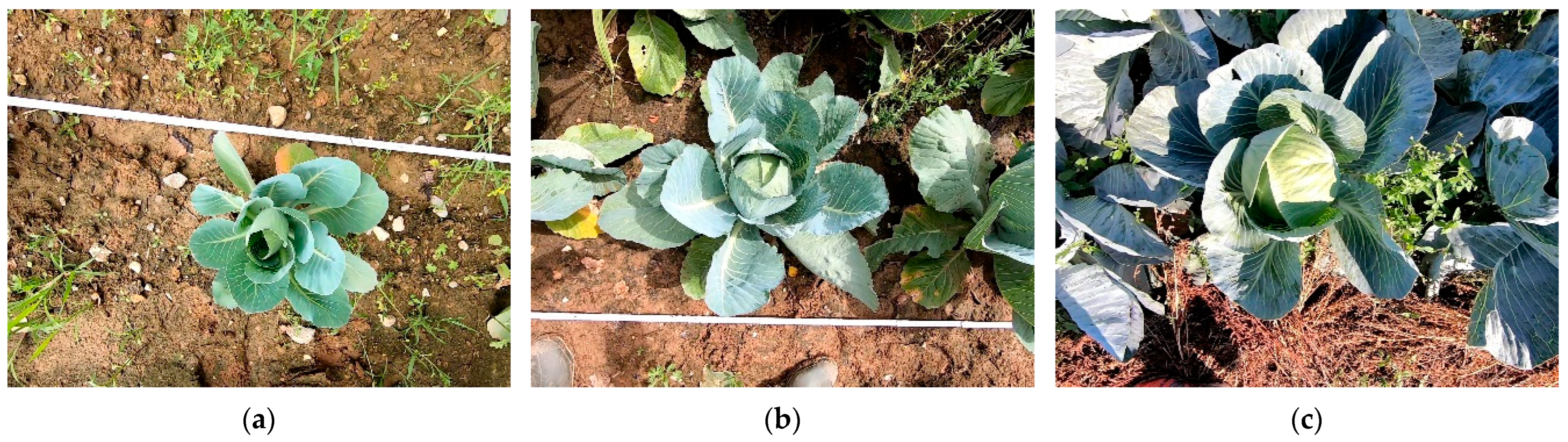 Sensors 23 00129 g001 Sensors 23 00129 g001