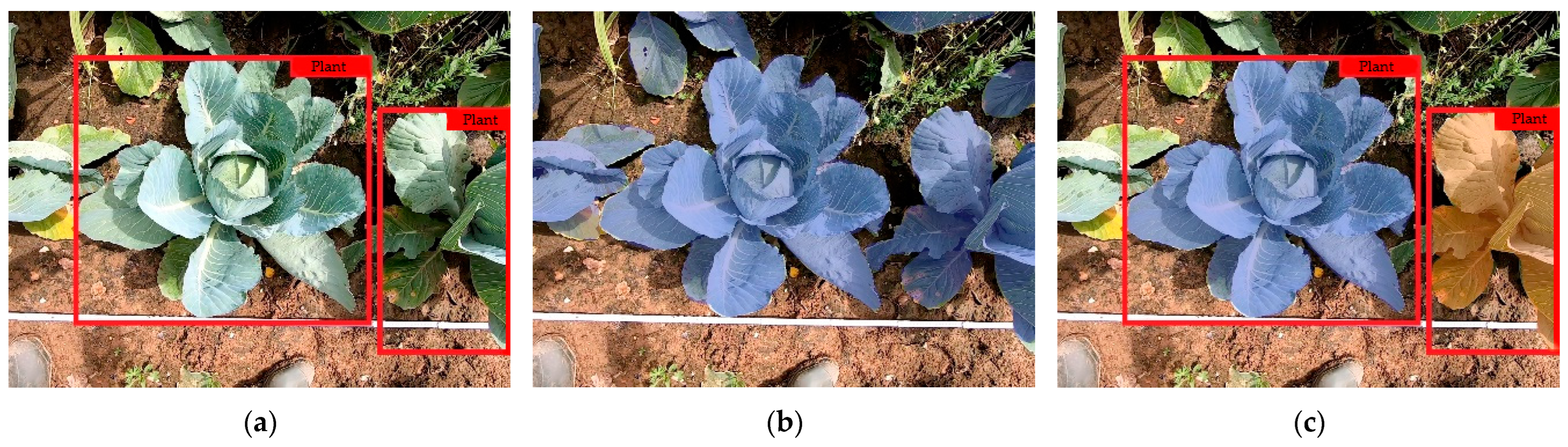 Sensors 23 00129 g003 Sensors 23 00129 g003