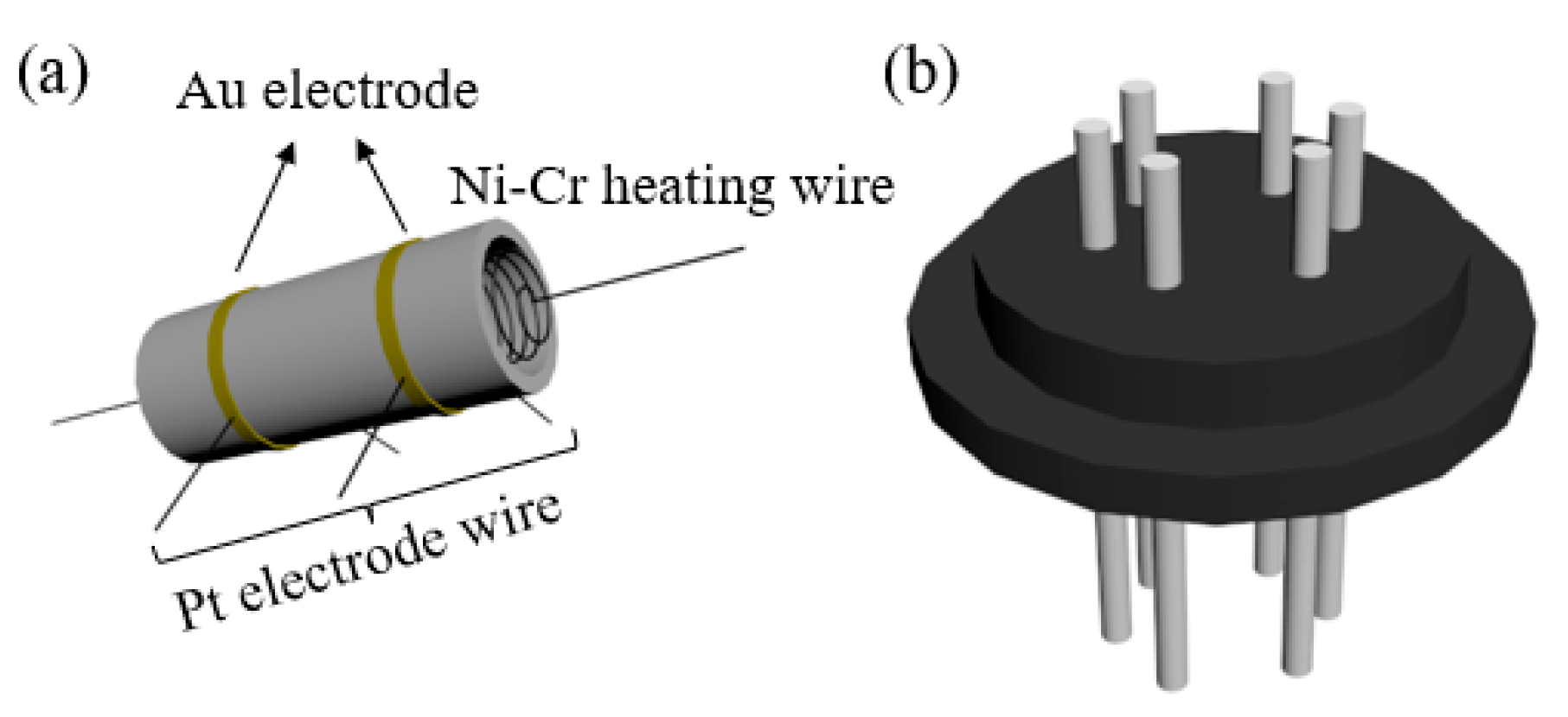 Highly Selective Gas Sensor Based on Litchi-like g-C3N4