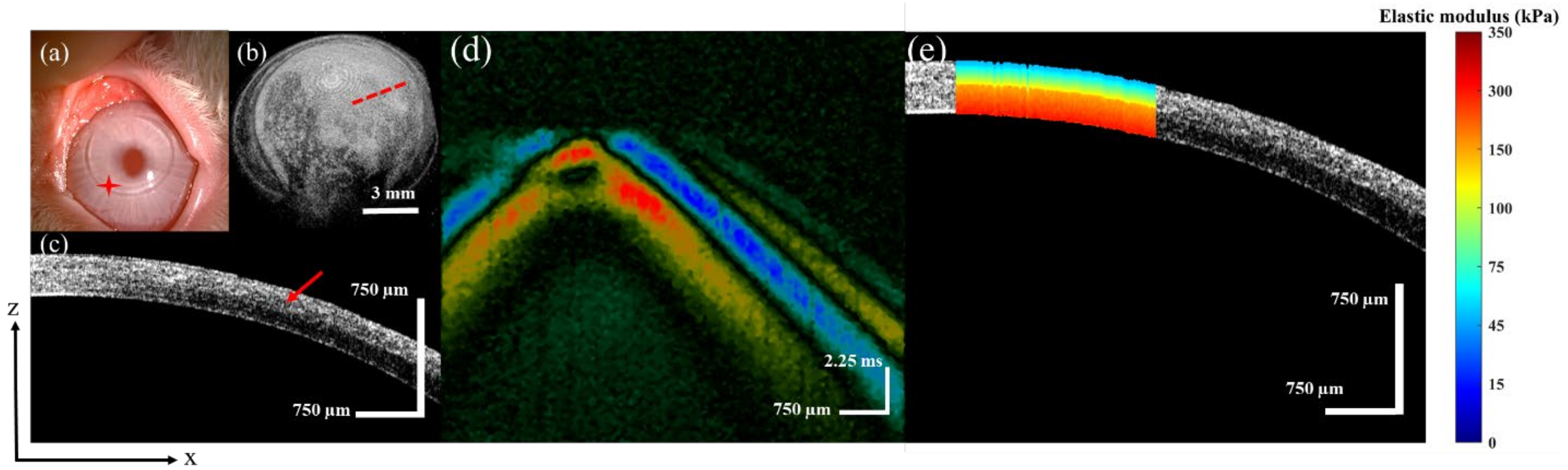 Sensors 23 00181 g005 Sensors 23 00181 g005