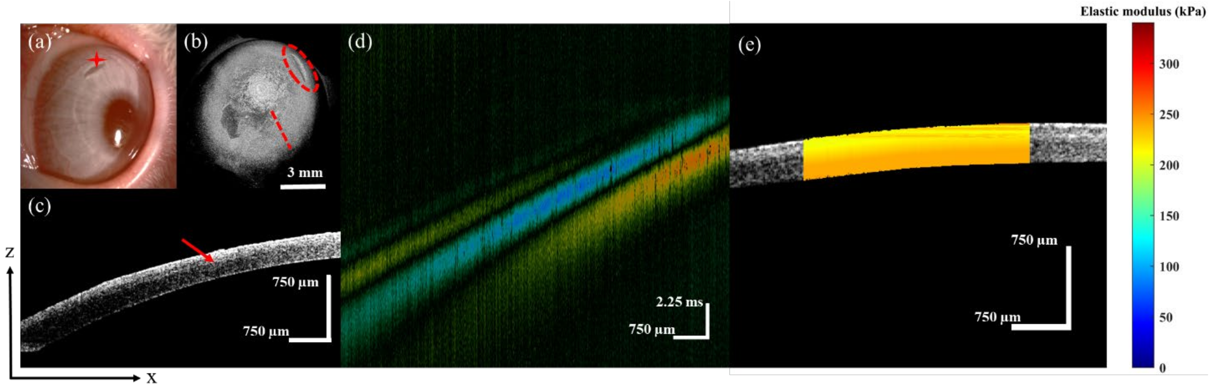 Sensors 23 00181 g006 Sensors 23 00181 g006