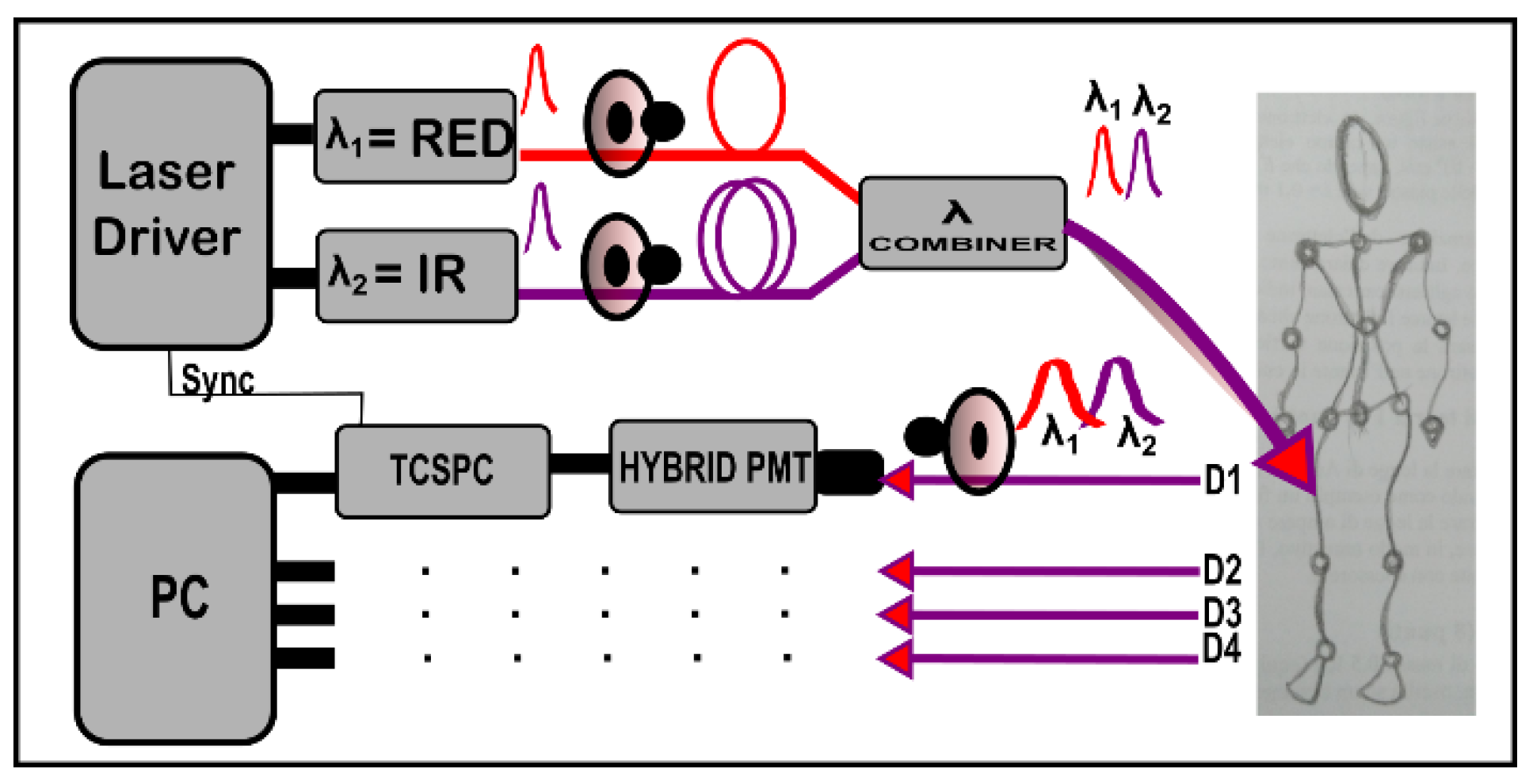 Sensors 23 00196 g001