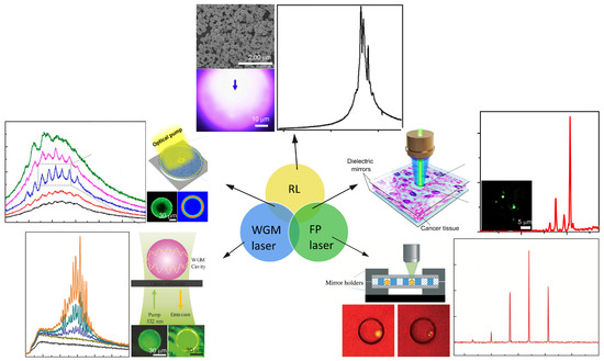 Properties and Applications of Random Lasers as Emerging