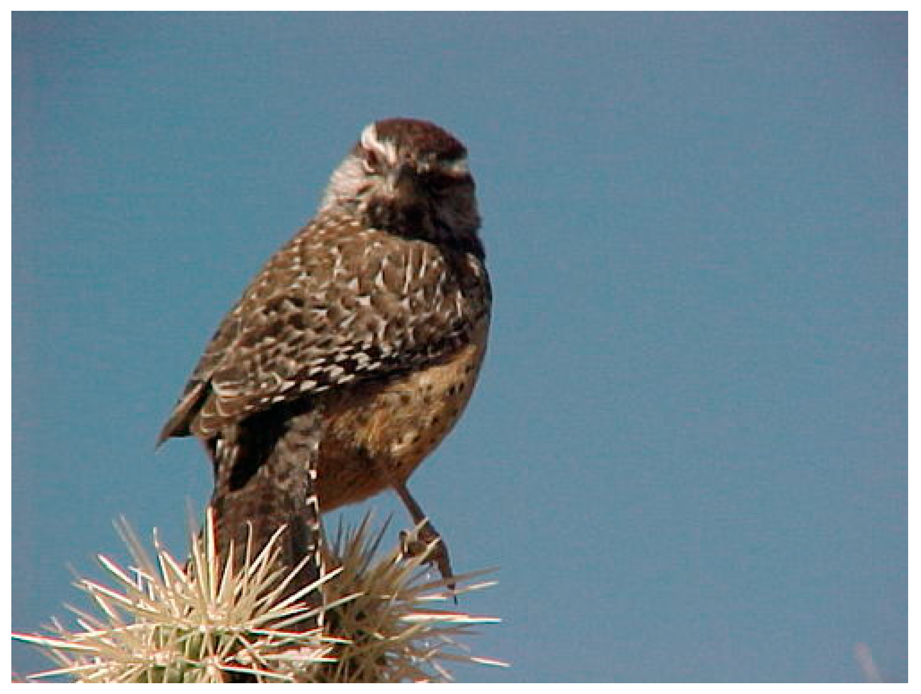 Sensors 23 00249 g007 550