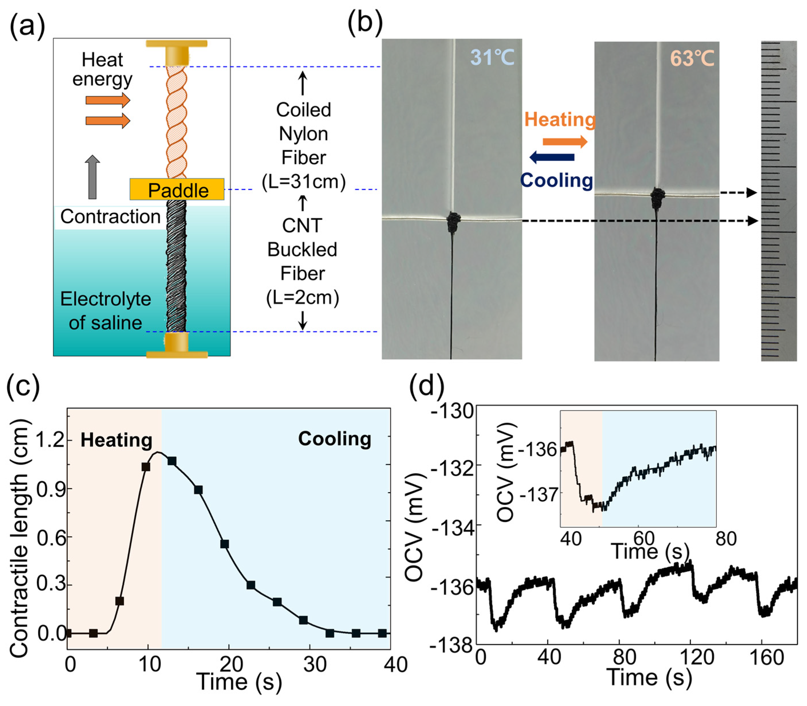 Sensors 23 00269 g004