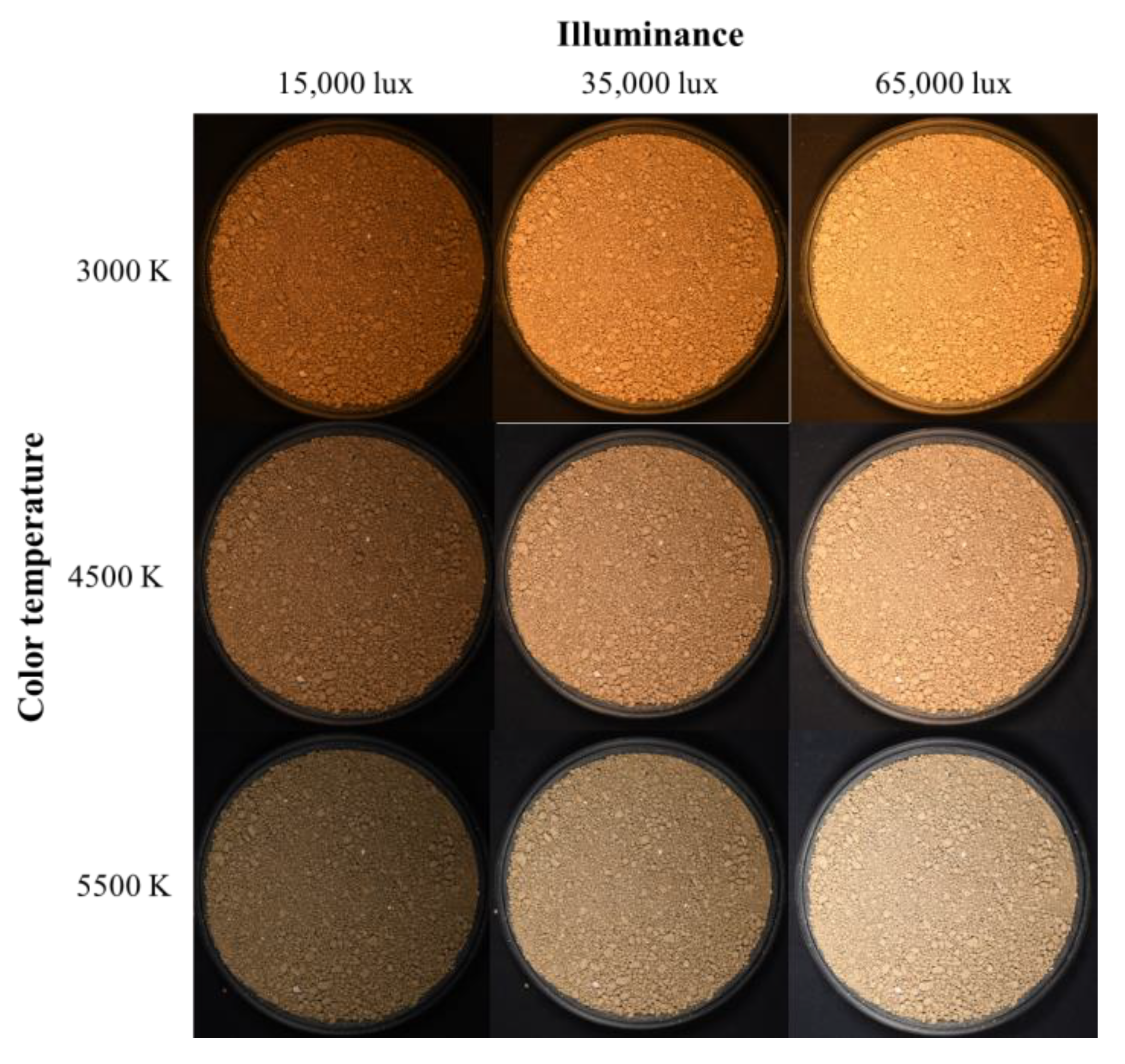 Sensors 23 00296 g005