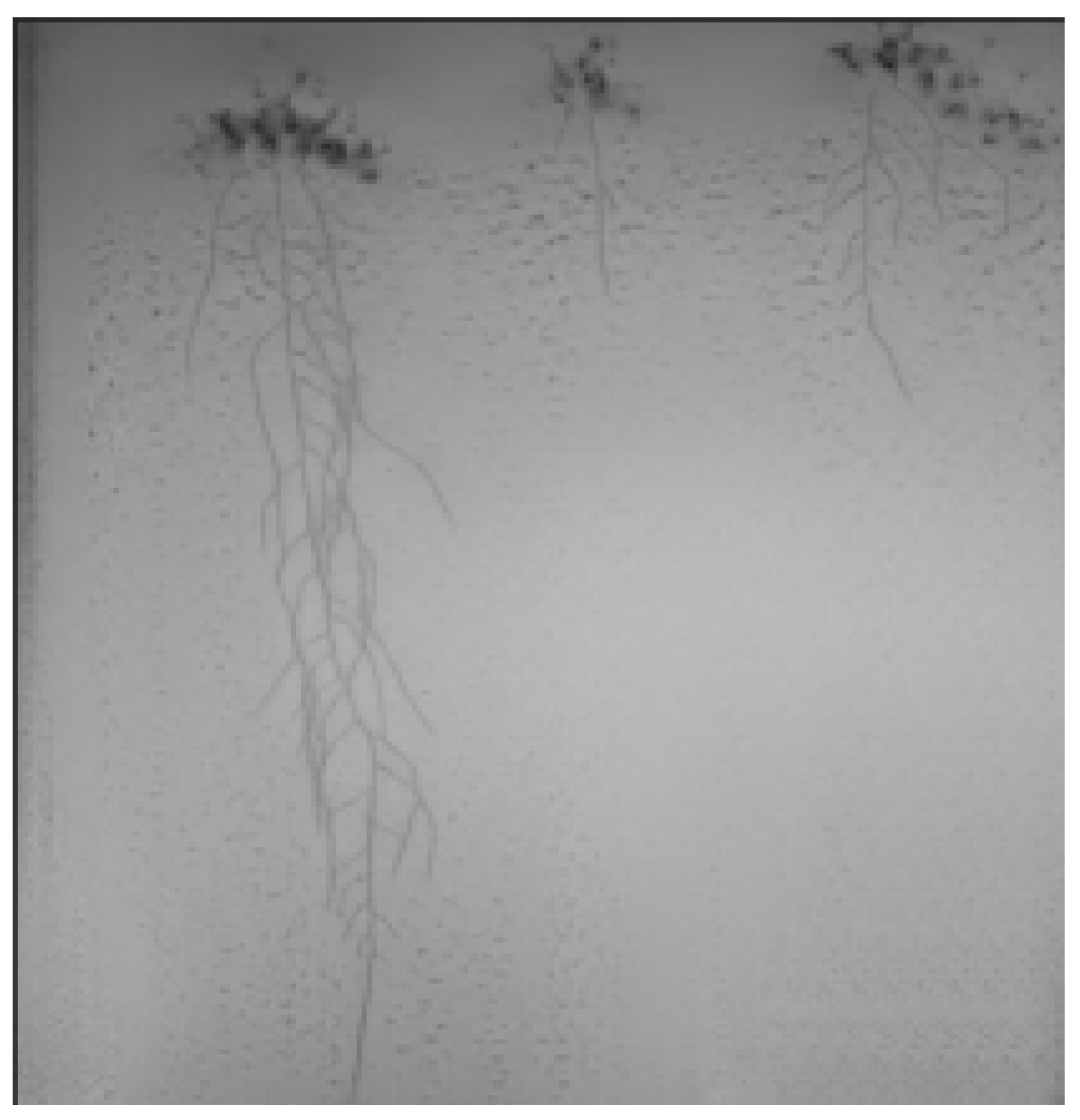 Sensors 23 00309 g007