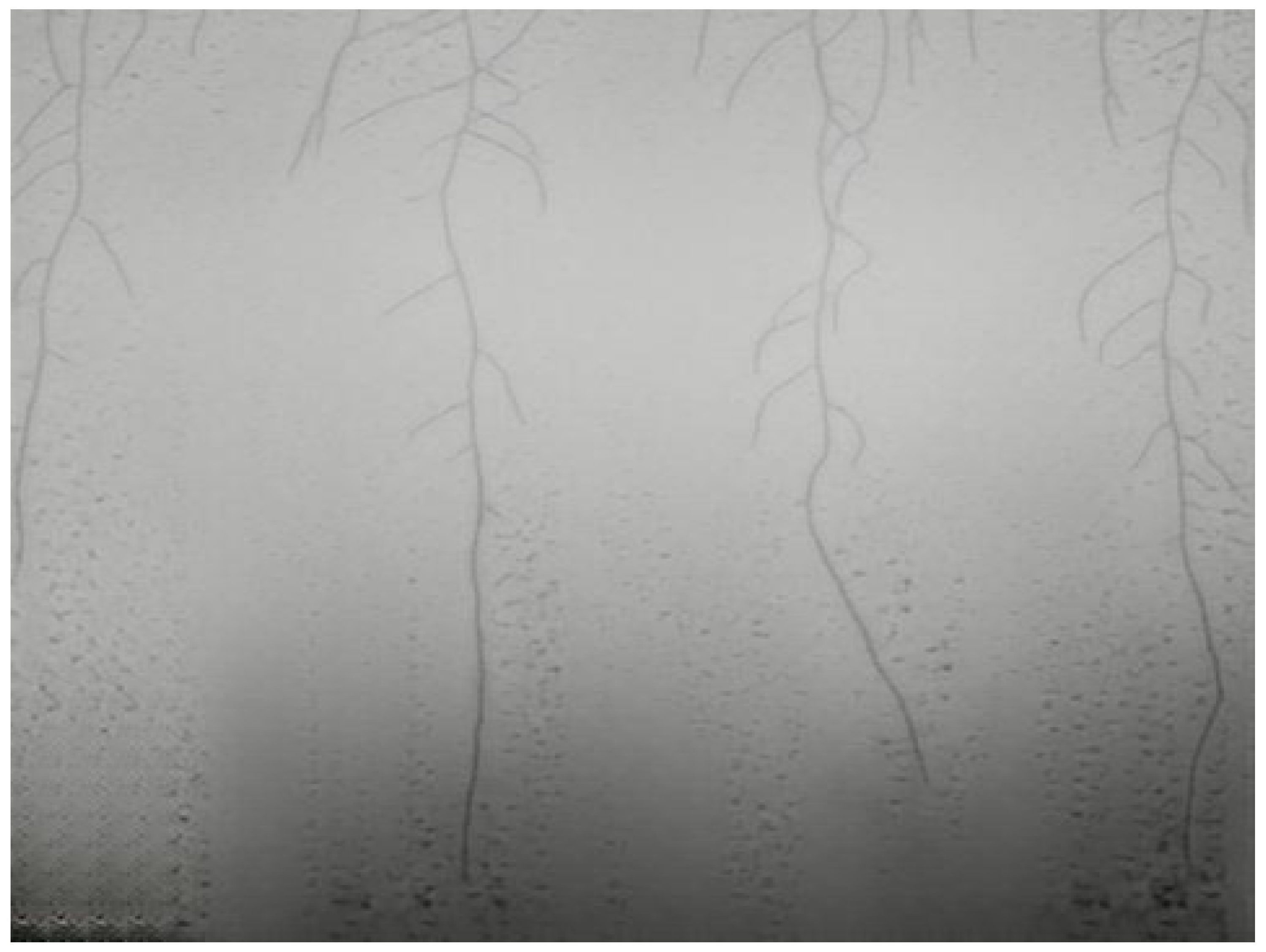 Sensors 23 00309 g009