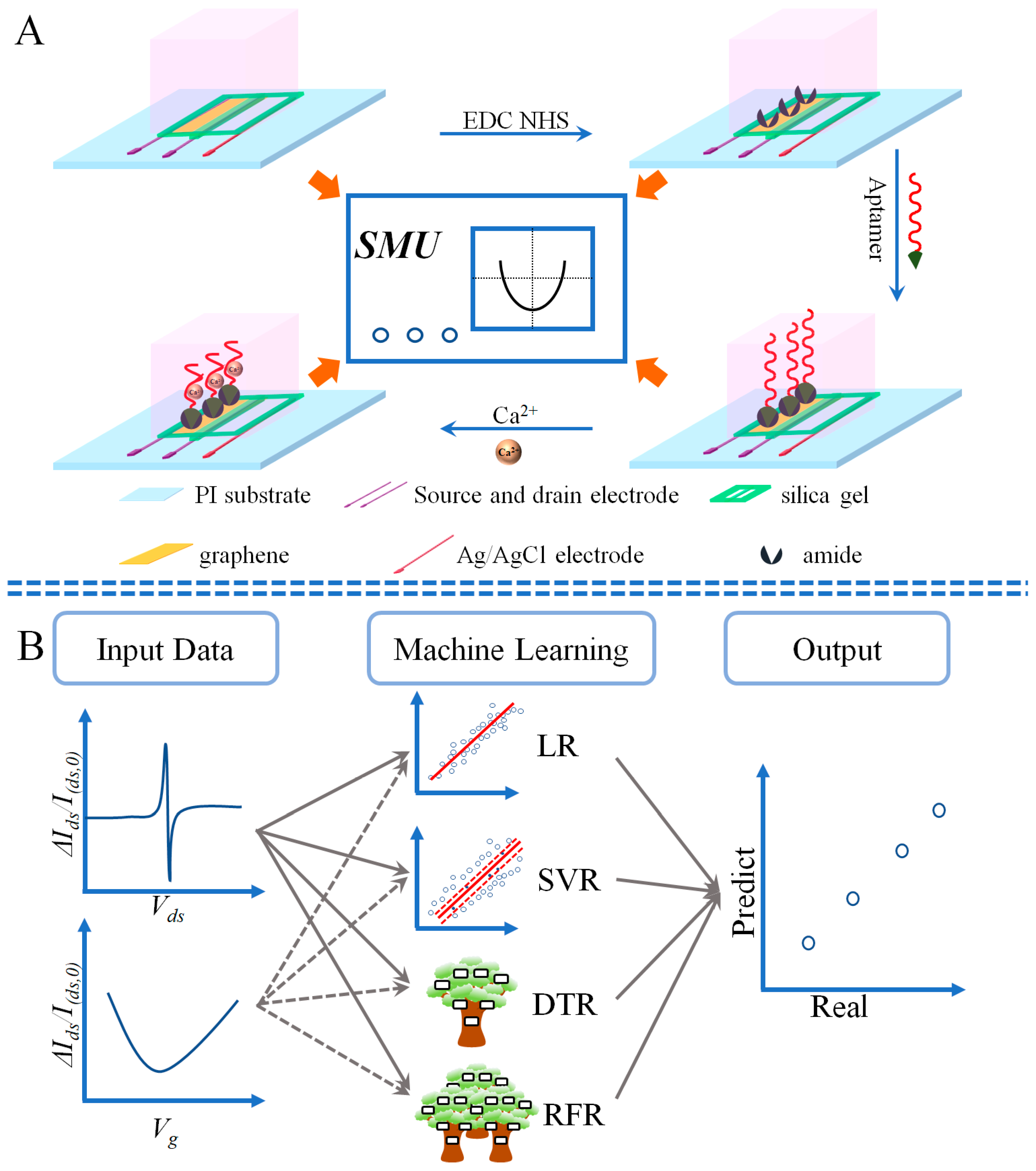 Sensors Free FullText ElectrolyteGated Graphene Field Effect
