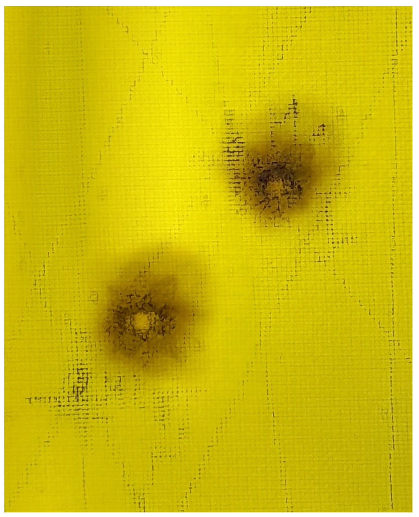 Sensors 23 00369 g005 Sensors 23 00369 g005