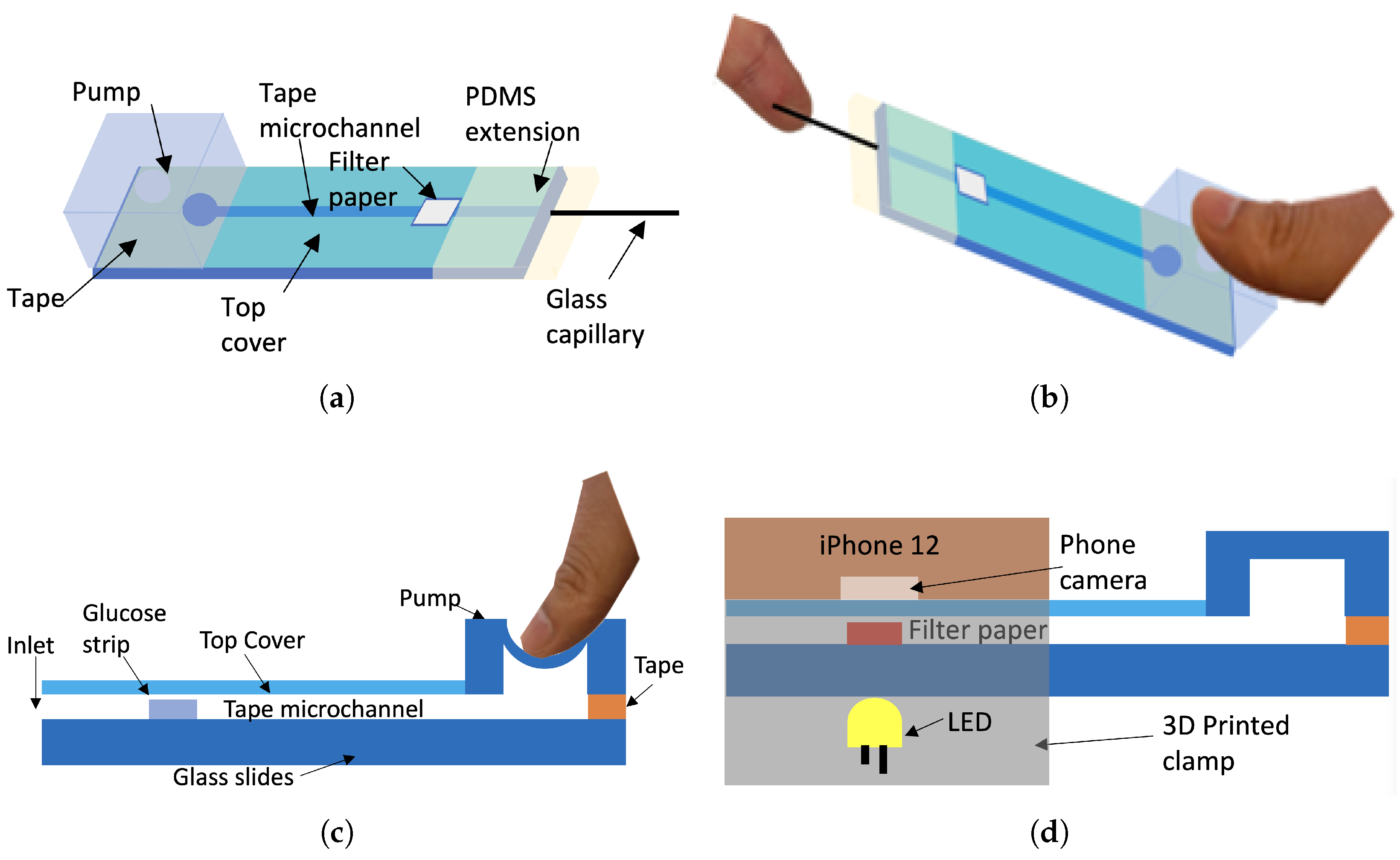 Sensors Free FullText A SmartphoneBased Disposable Hemoglobin