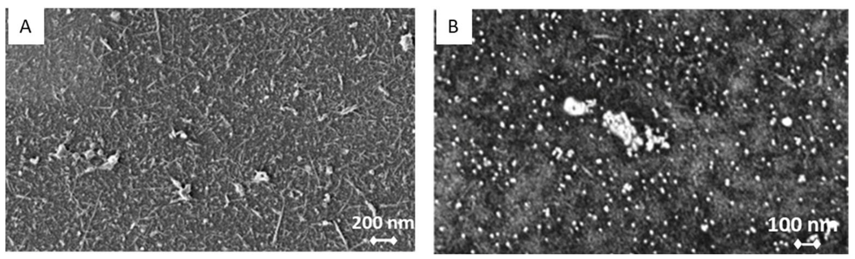 Sensors 23 00433 g005