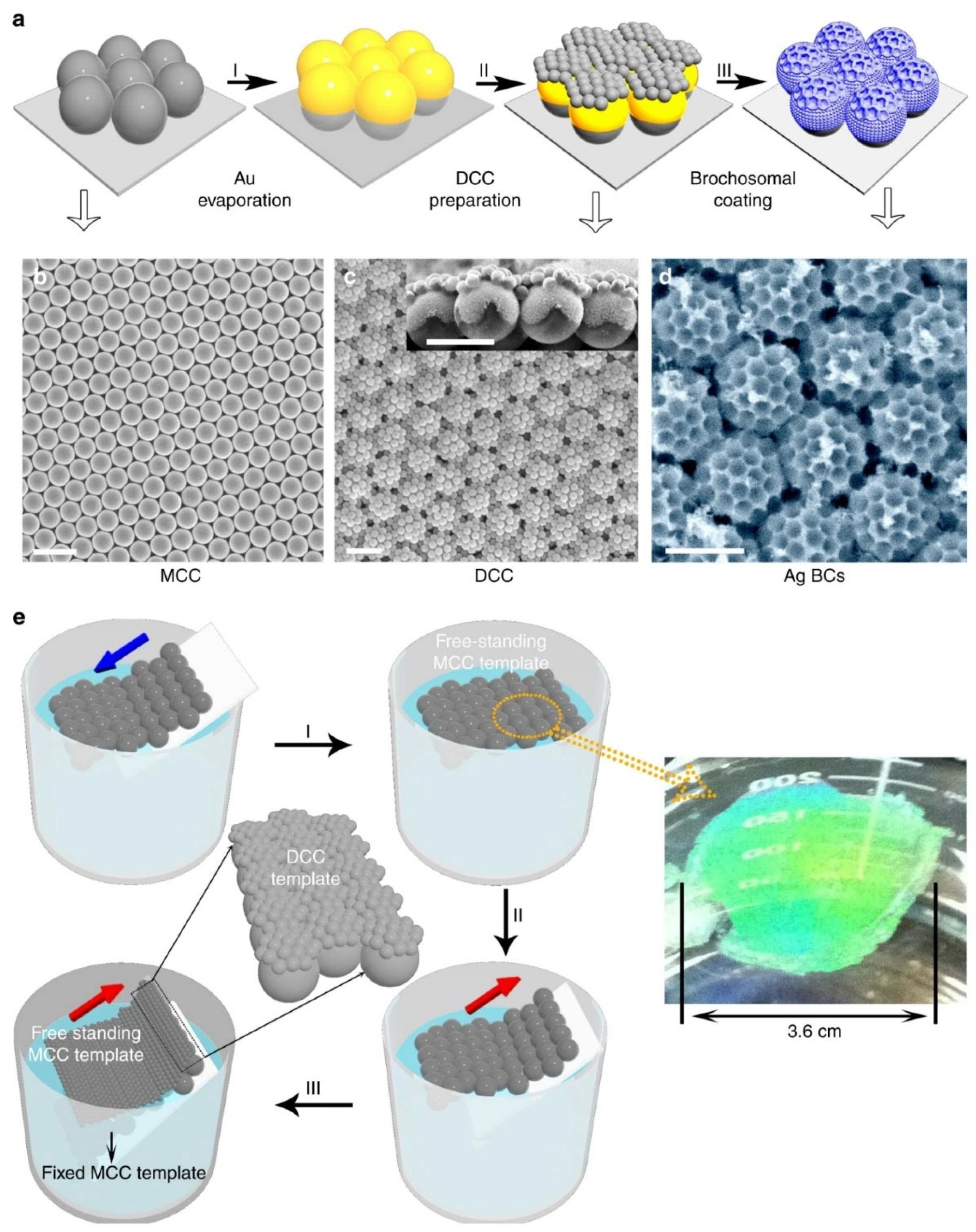 Sensors 23 00445 g004 Sensors 23 00445 g004