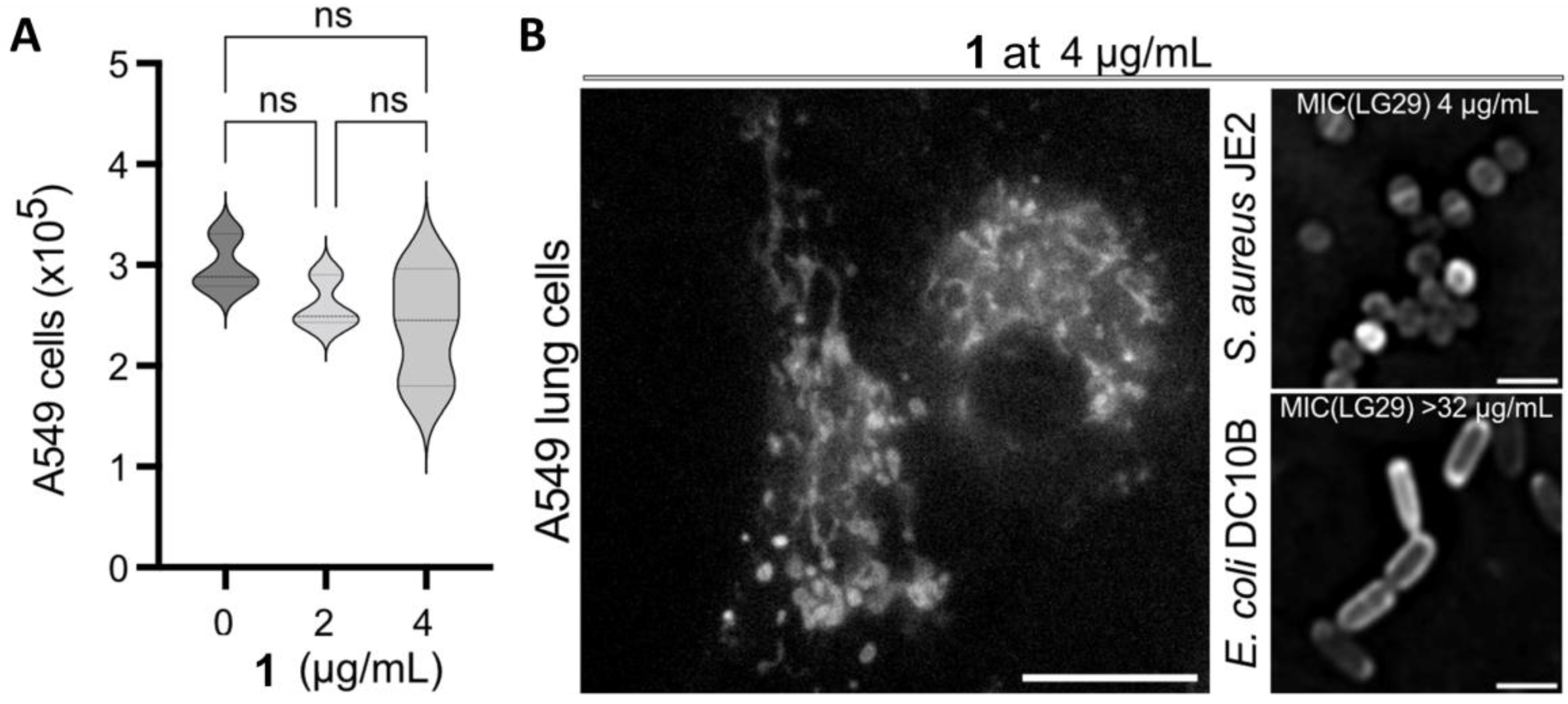 Sensors 23 00471 g011 Sensors 23 00471 g011