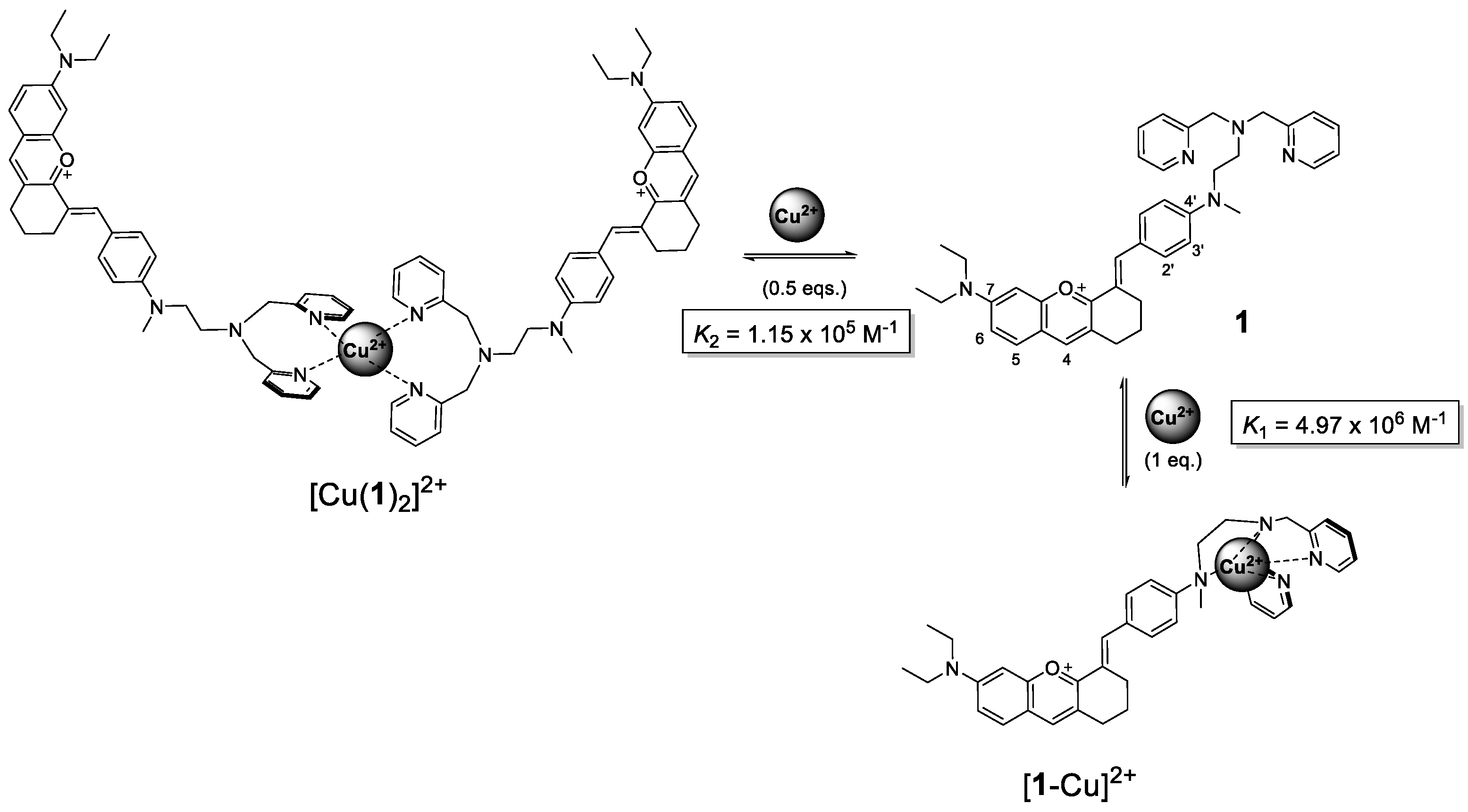 Sensors 23 00471 sch001 Sensors 23 00471 sch001