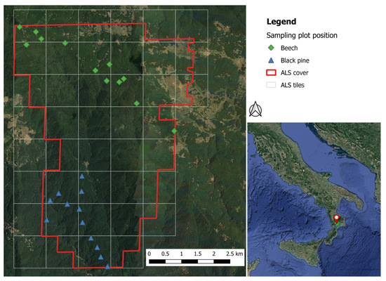 Mapping Understory Vegetation Density in Mediterranean Forests