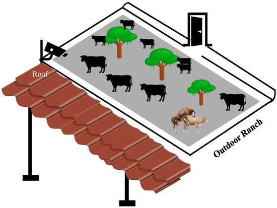 Sensors | Free Full-Text | Comparing State-of-the-Art Deep Learning Algorithms for the Automated Detection and Tracking of Black Cattle Sensors | Free Full-Text | Comparing State-of-the-Art Deep Learning Algorithms for the Automated Detection and Tracking of Black Cattle