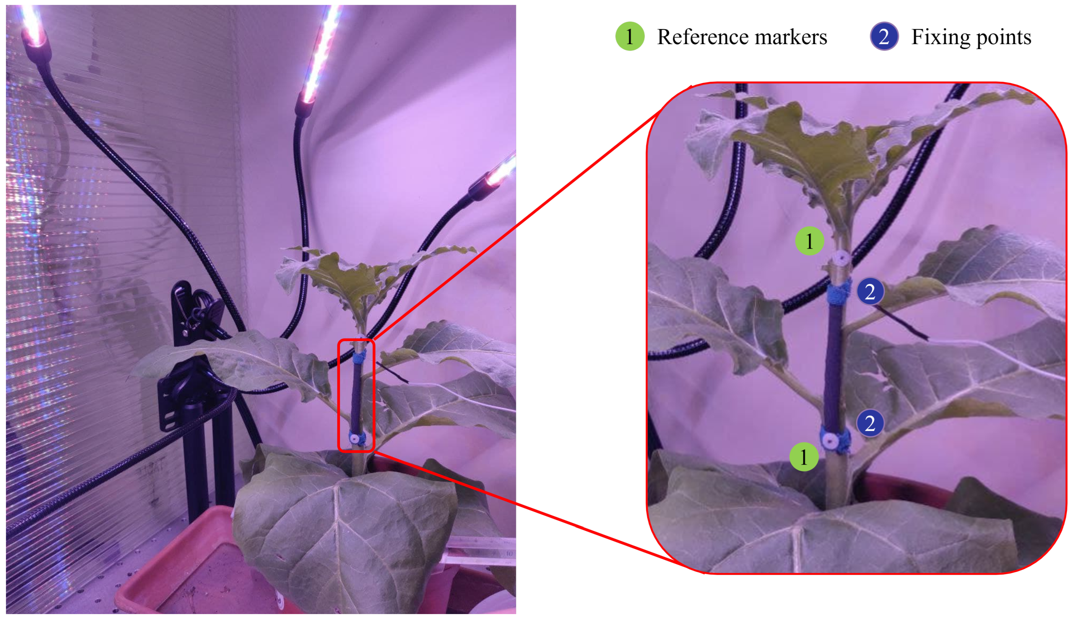 Sensors 23 00549 g003