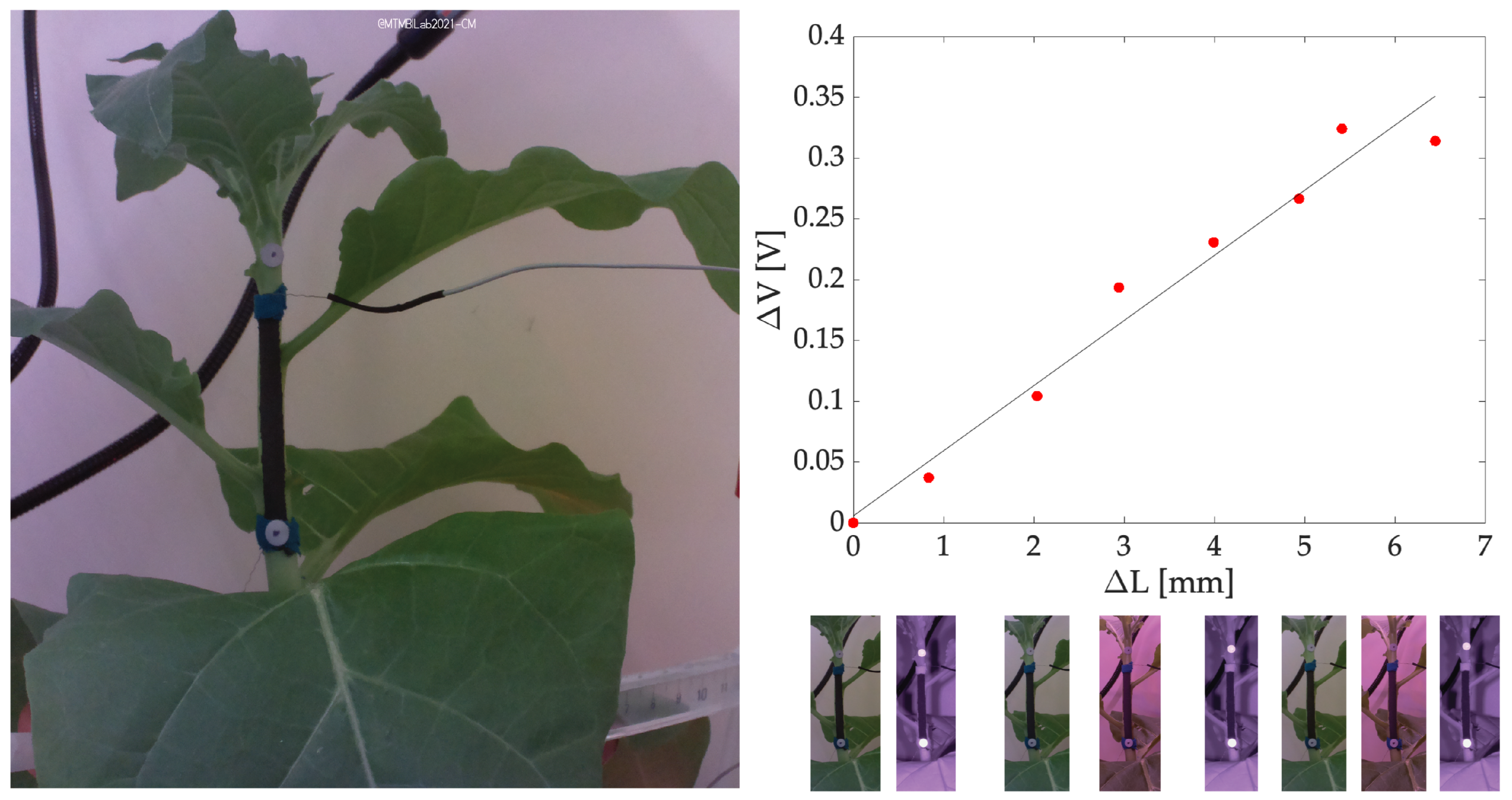 Sensors 23 00549 g011