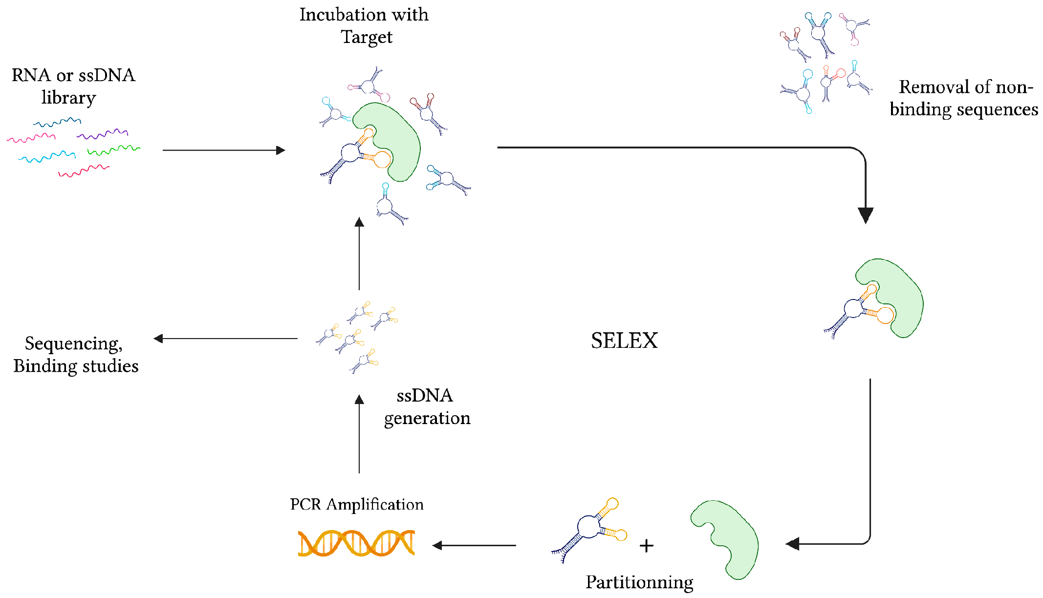 Sensors 23 00562 g002 Sensors 23 00562 g002