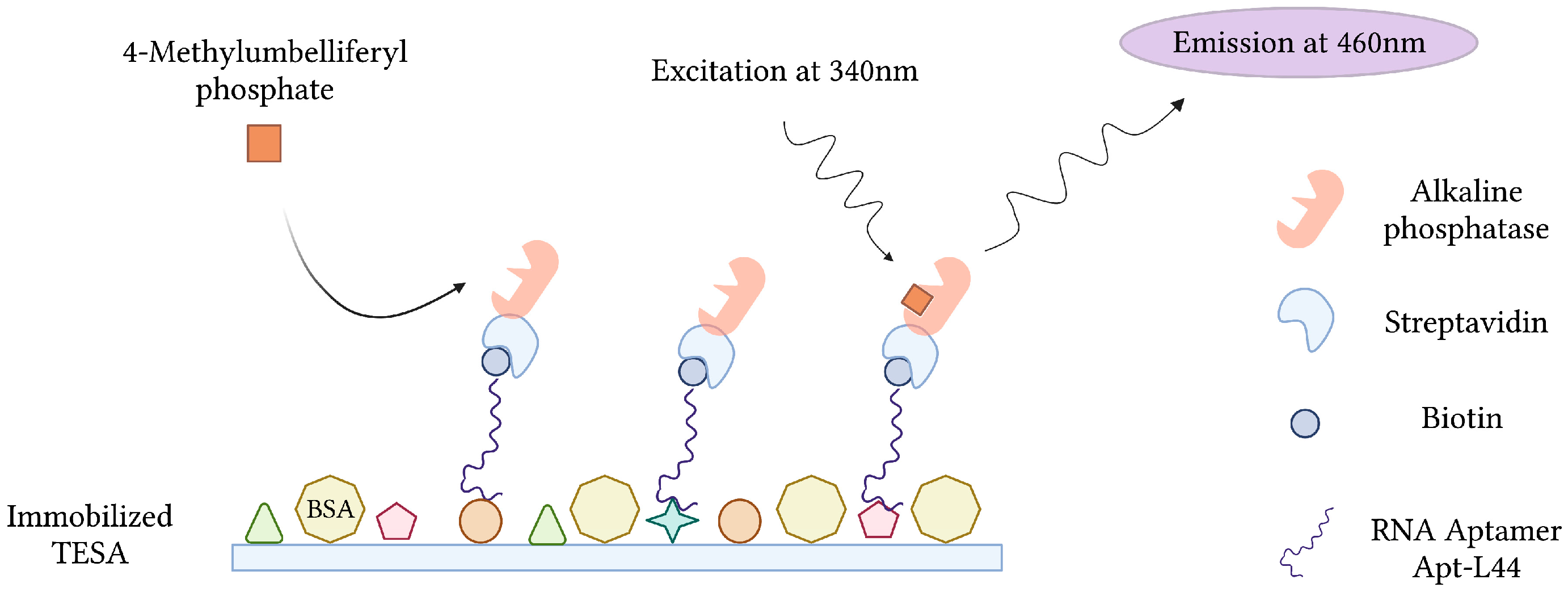 Sensors 23 00562 g009 Sensors 23 00562 g009