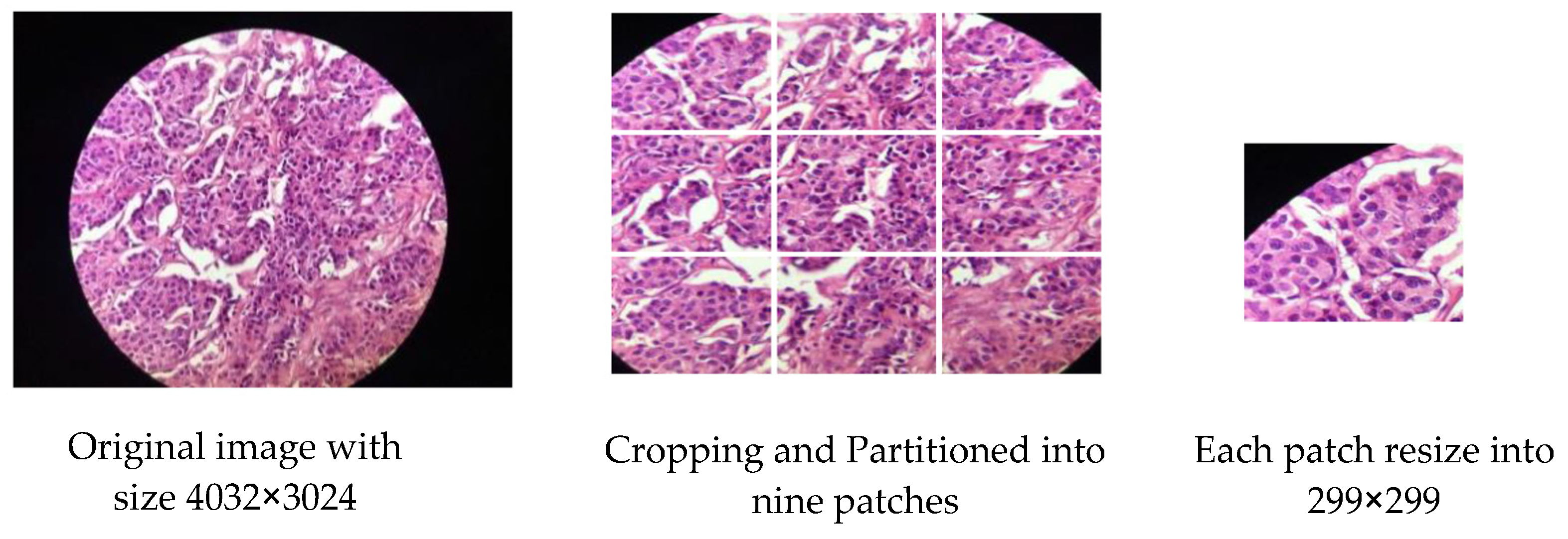 Sensors 23 00570 g008