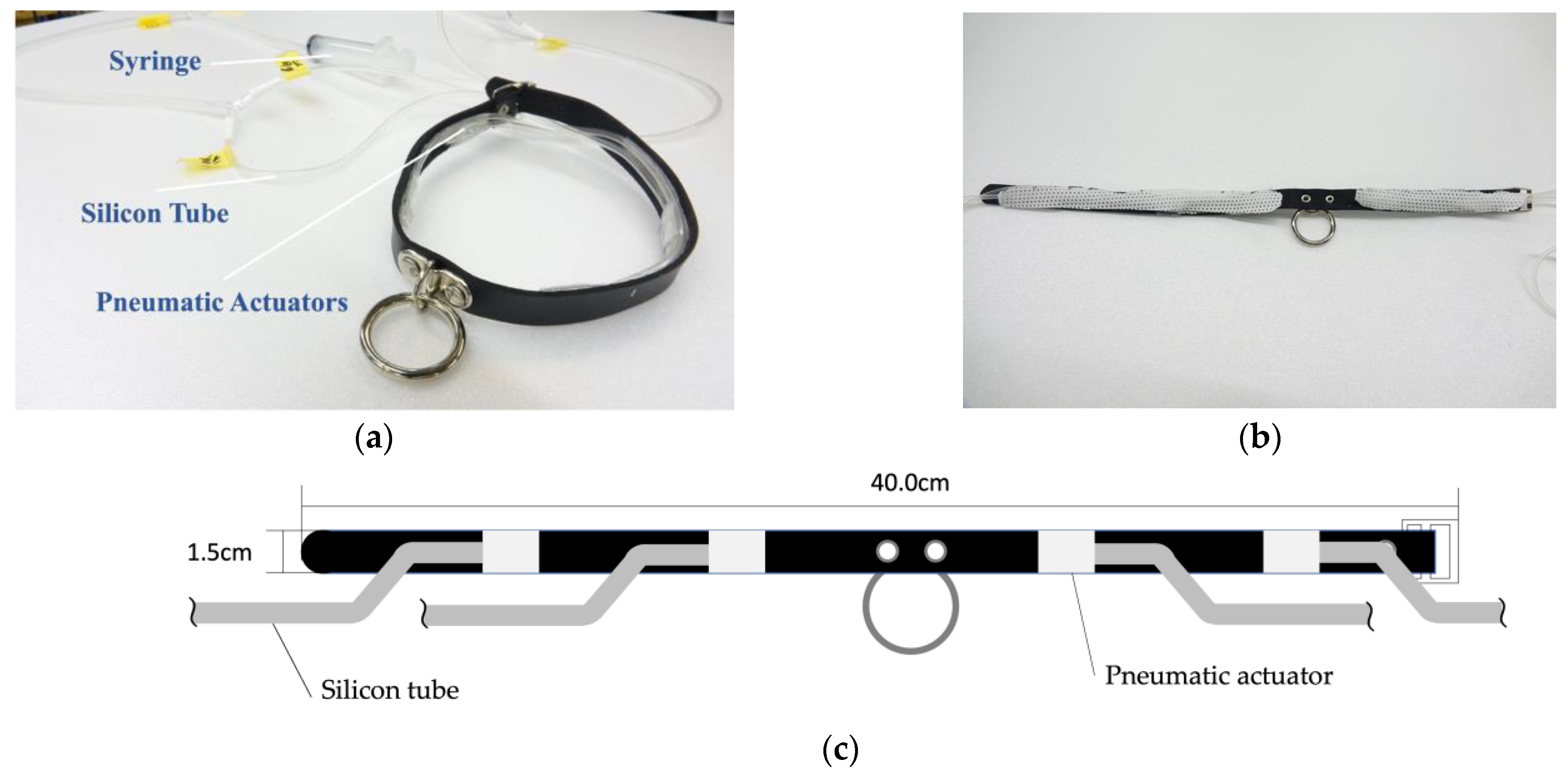 Sensors 23 00584 g004 Sensors 23 00584 g004