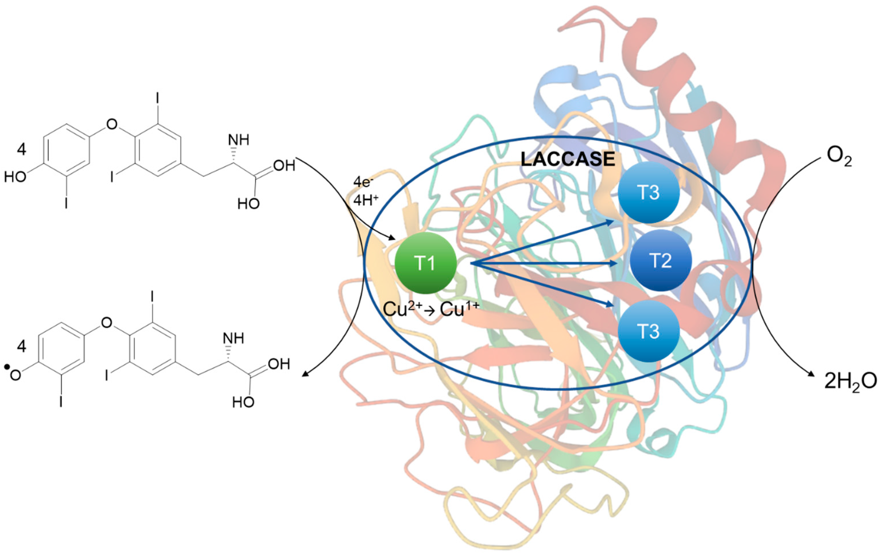 Sensors 23 00602 g005