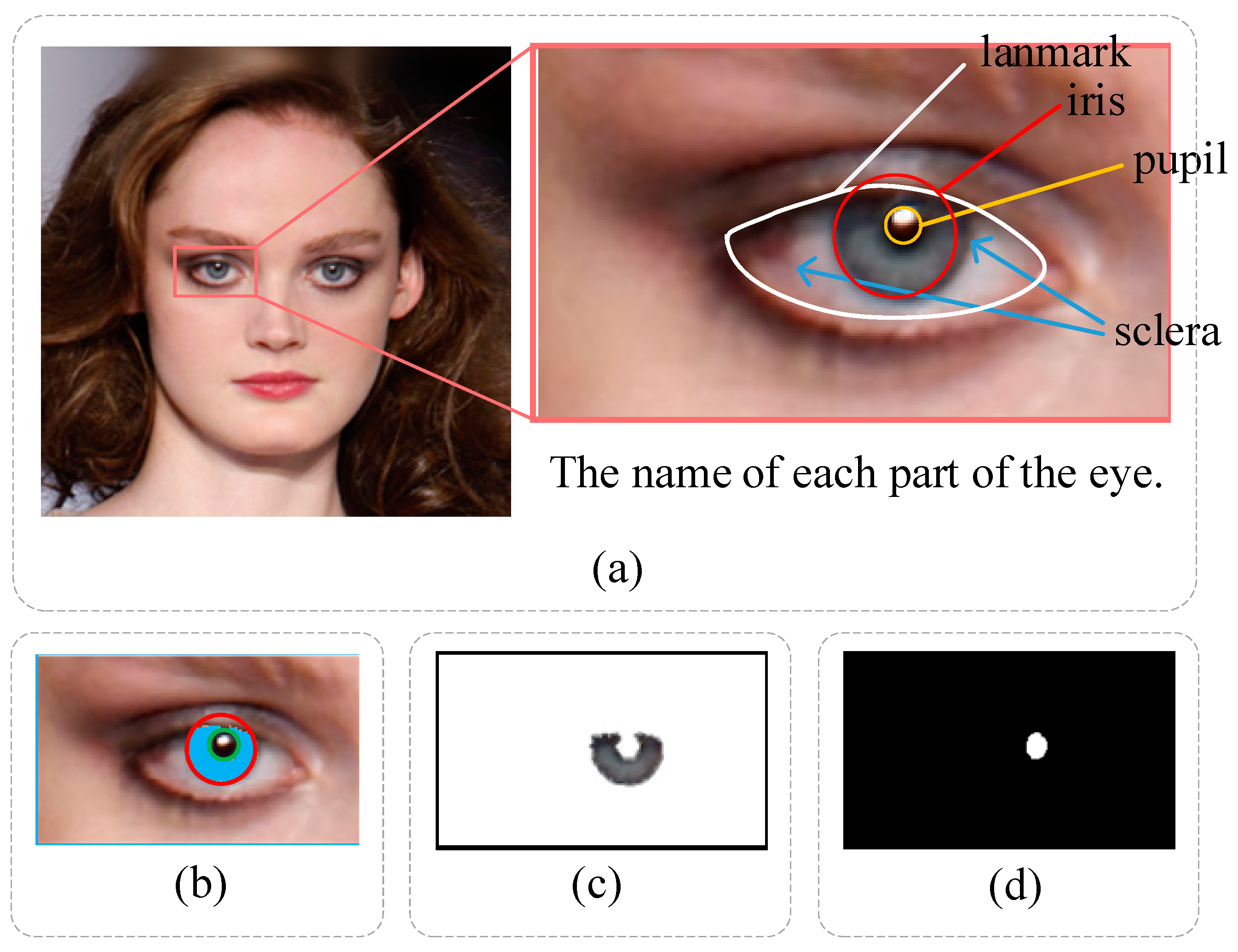 Sensors 23 00616 g003 Sensors 23 00616 g003