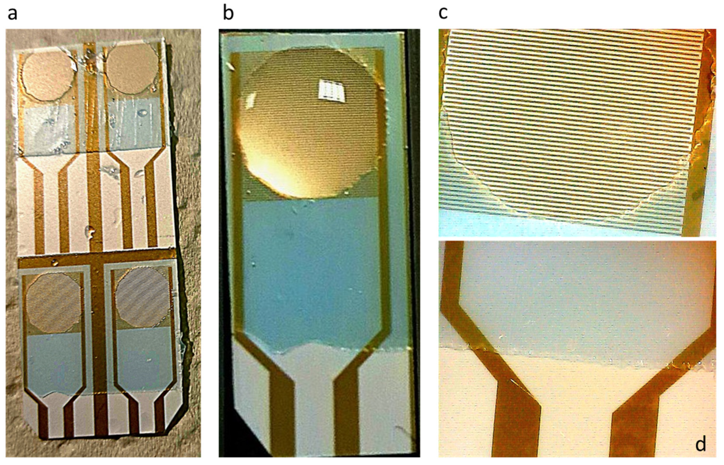Sensors 23 00765 g005