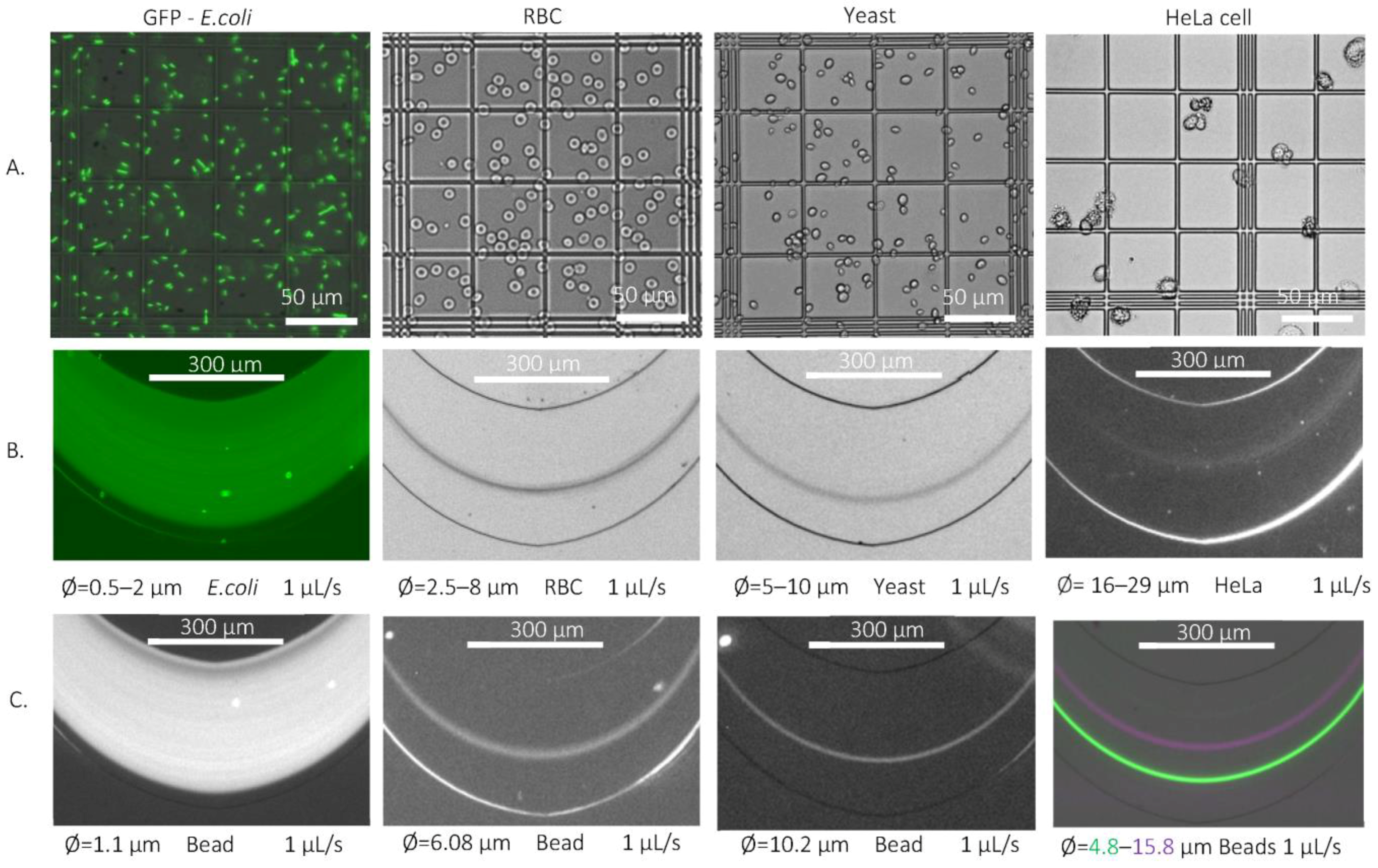 Sensors 23 00800 g005