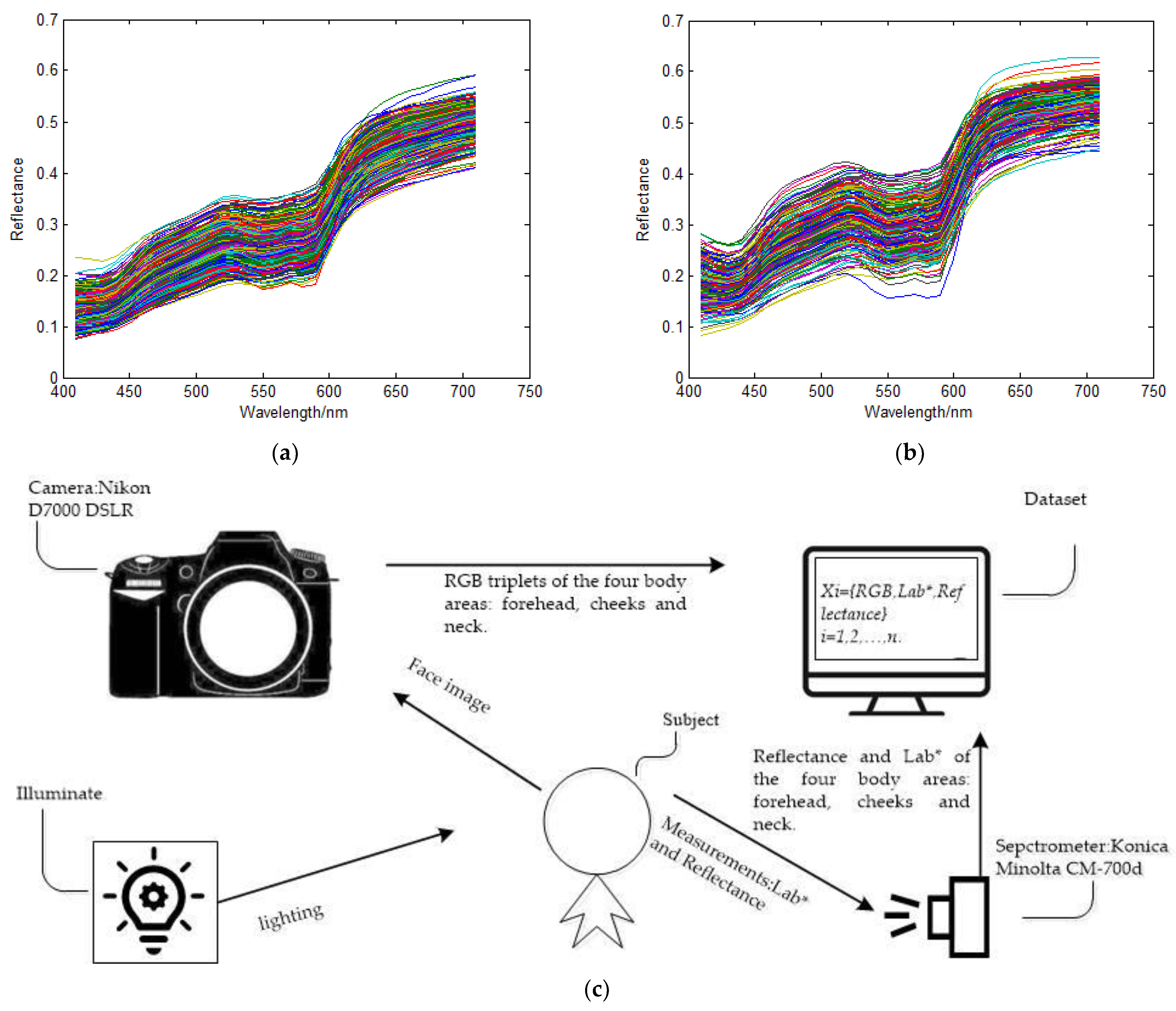 Sensors 23 00810 g003 Sensors 23 00810 g003