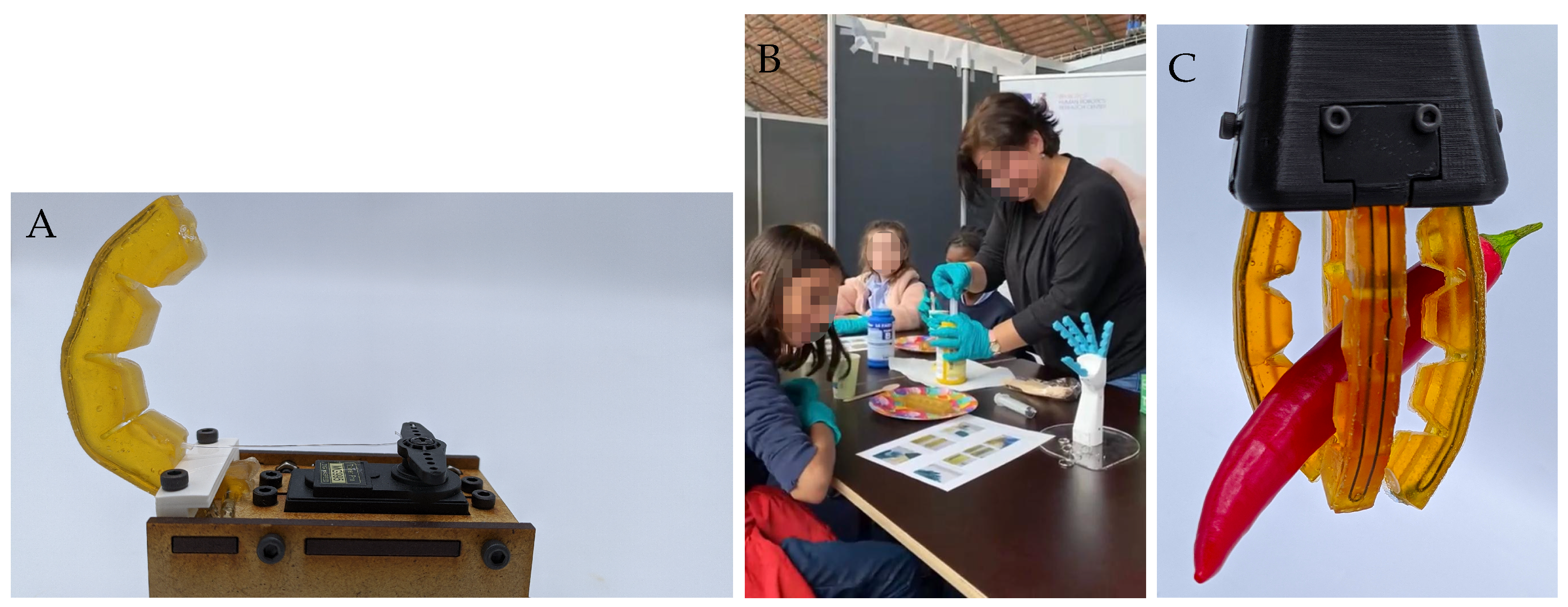 Sensors 23 00811 g001