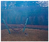 Sensors 23 00815 i142