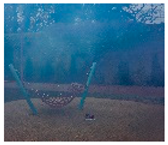 Sensors 23 00815 i146