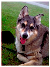 Sensors 23 00815 i177