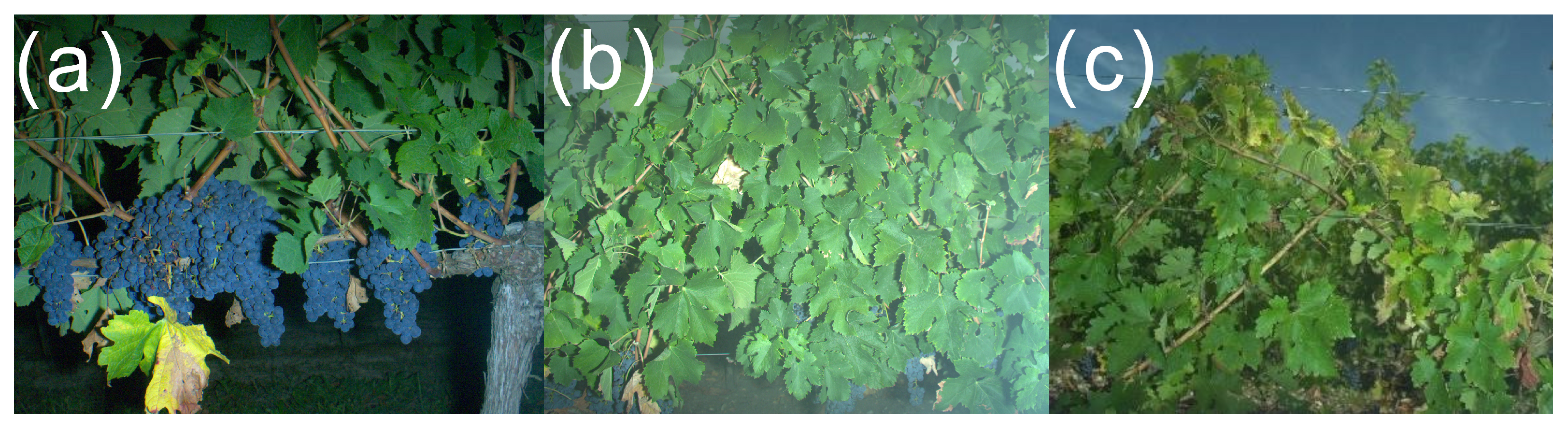 Sensors 23 00847 g005