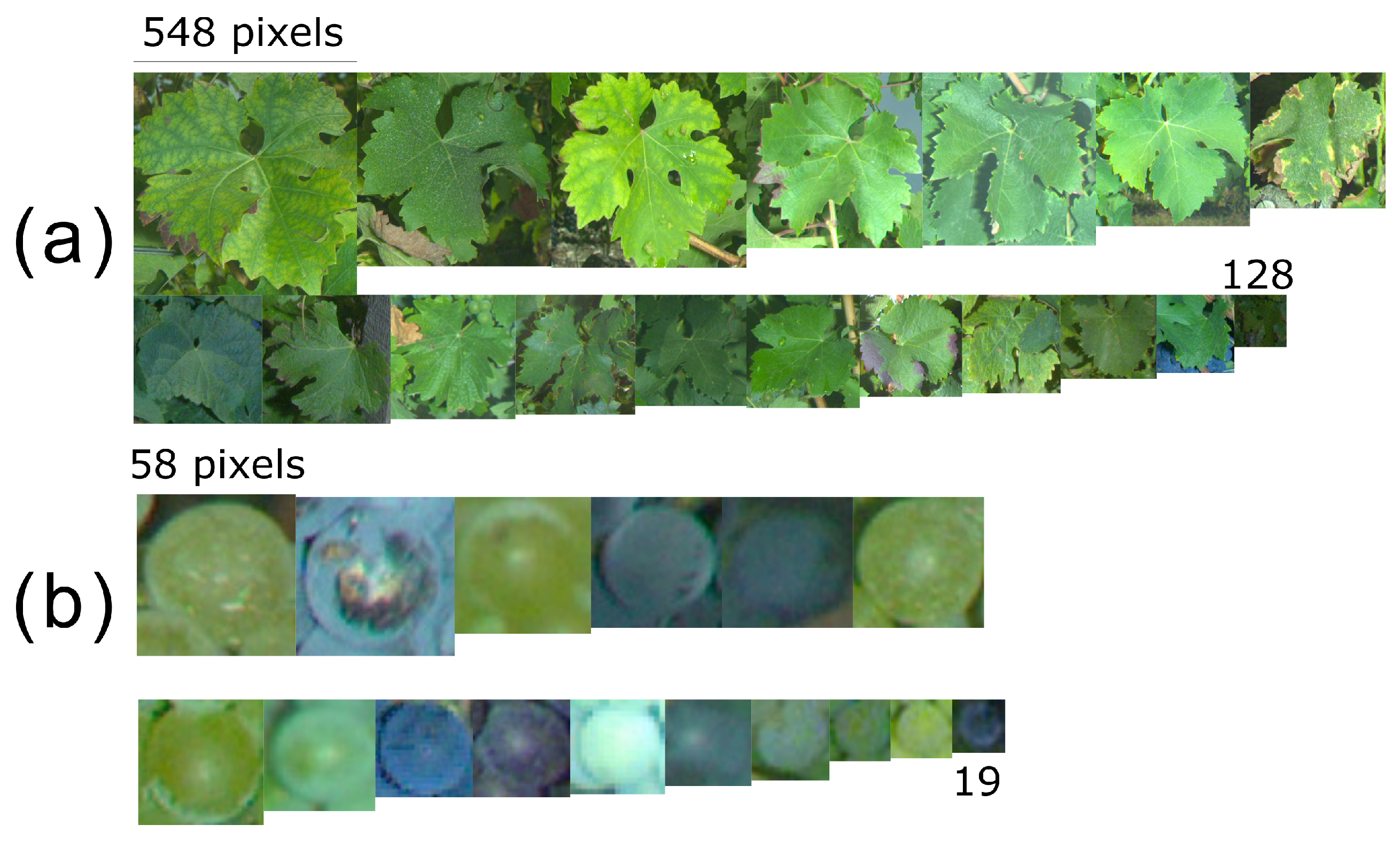 Sensors 23 00847 g007