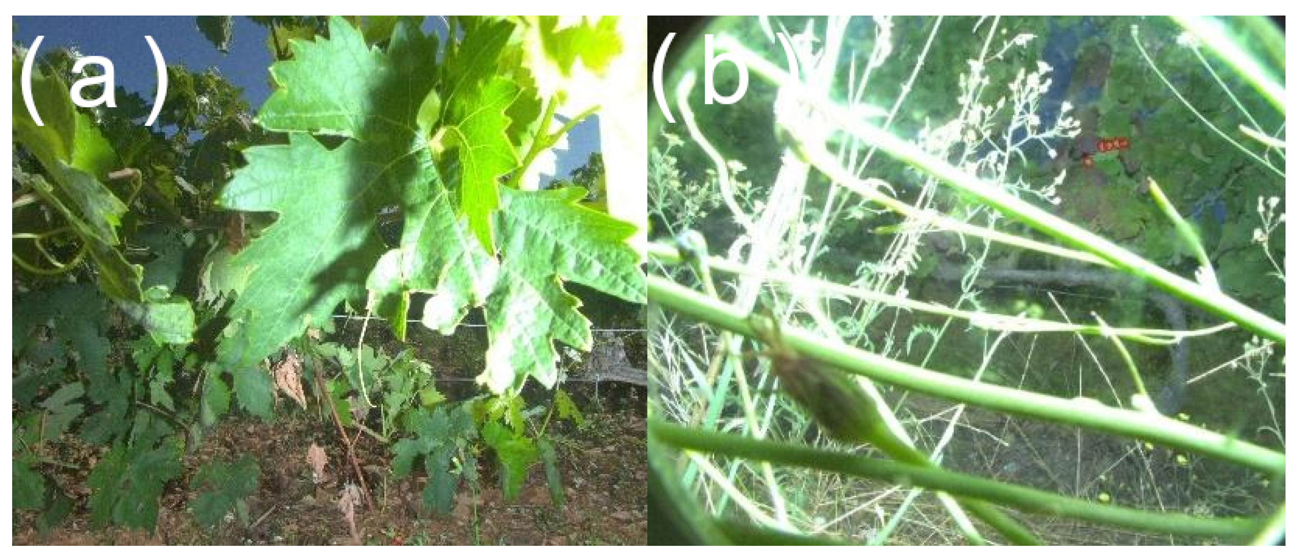 Sensors 23 00847 g008