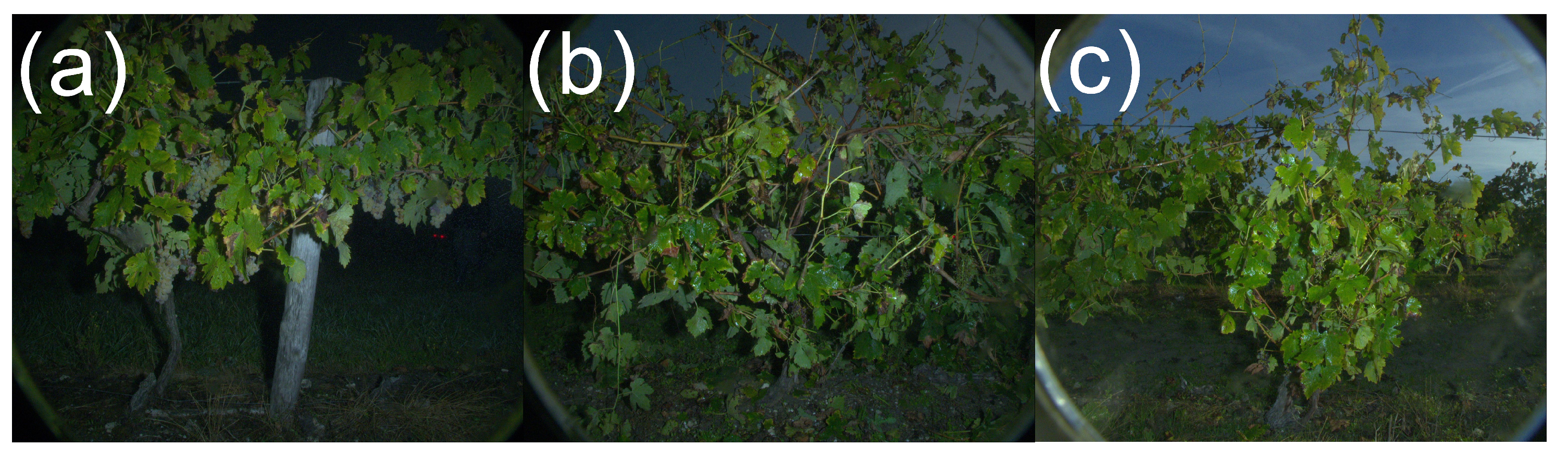 Sensors 23 00847 g010